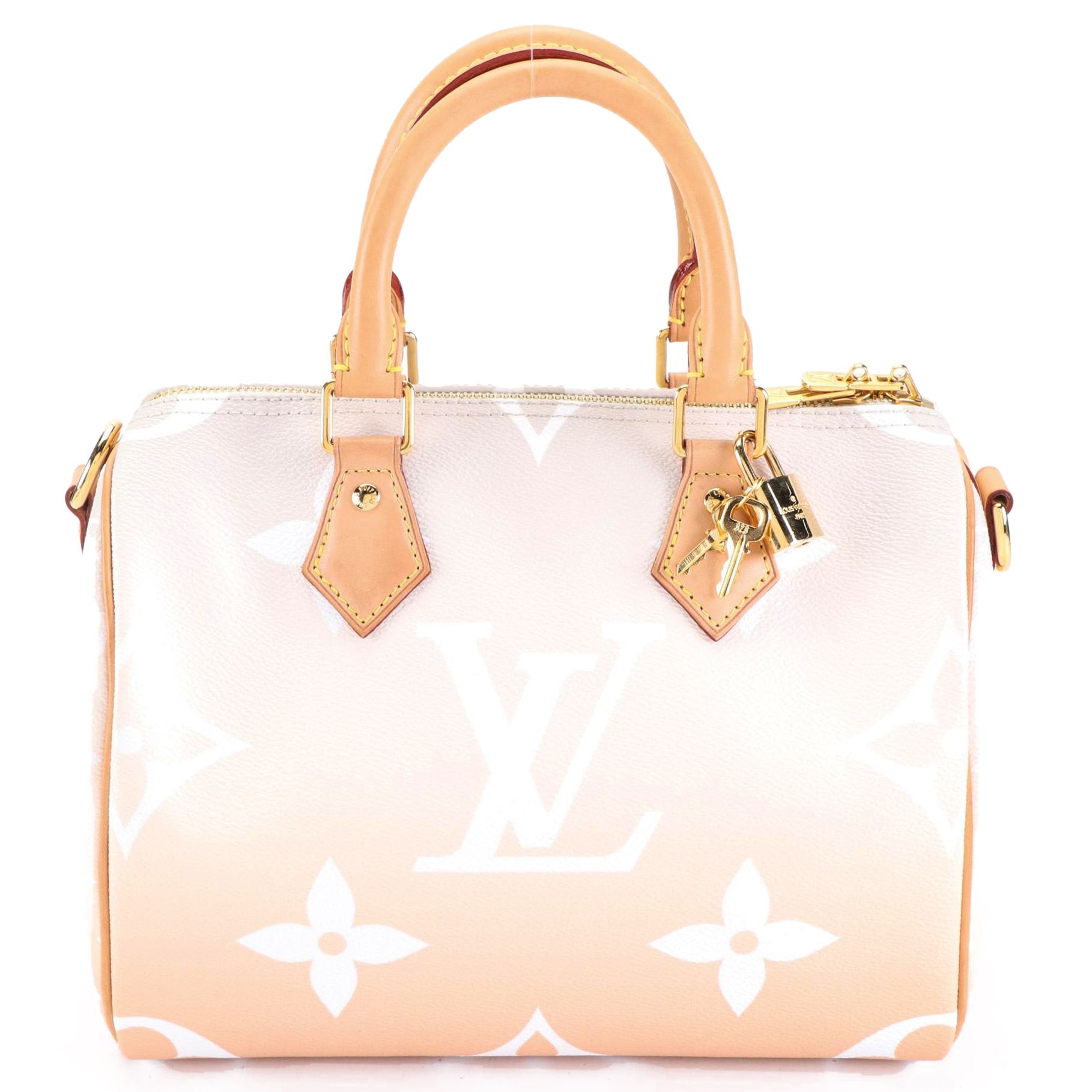 Louis Vuitton Speedy Bandoulière 25 in By The Pool Monogram Giant Canvas
