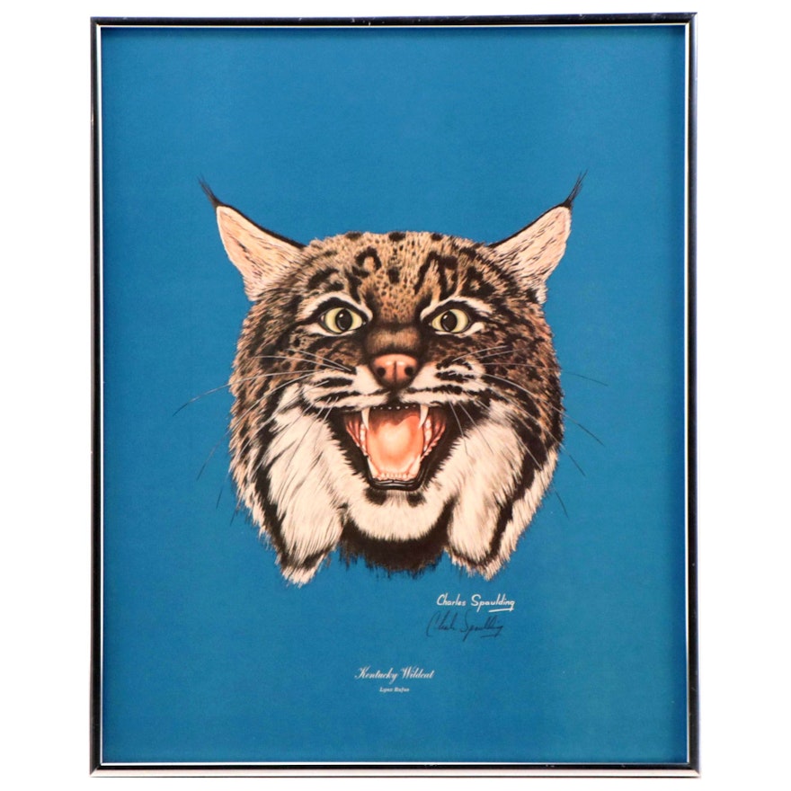 Charles Spaulding Offset Lithograph "Kentucky Wildcat"