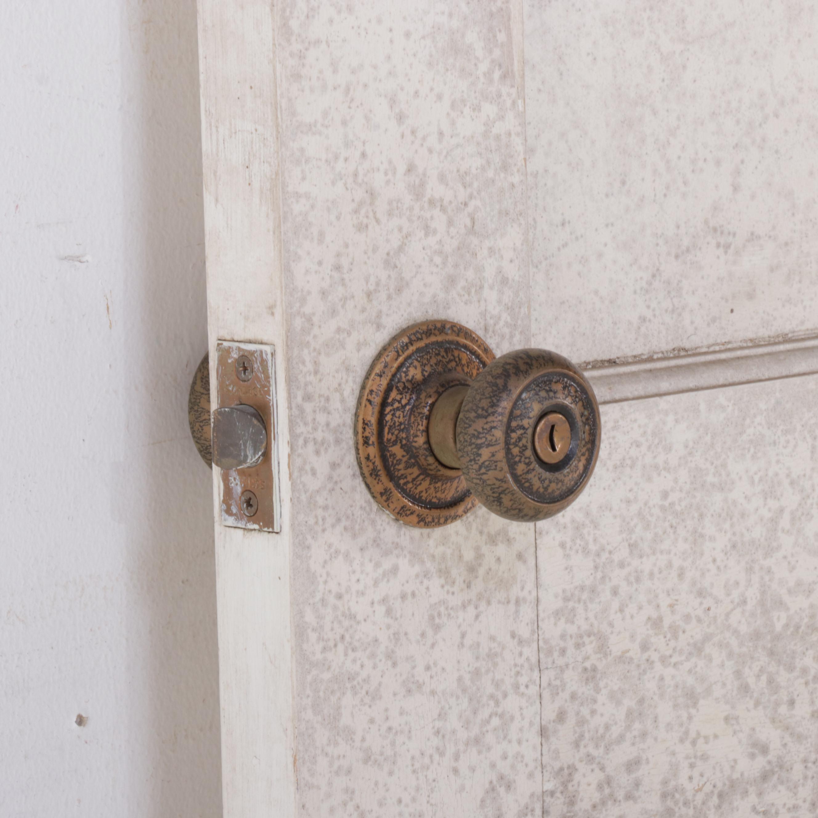 Painted Wooden Door with Gold-Painted Plaster Medallions, Early to Mid 20th C