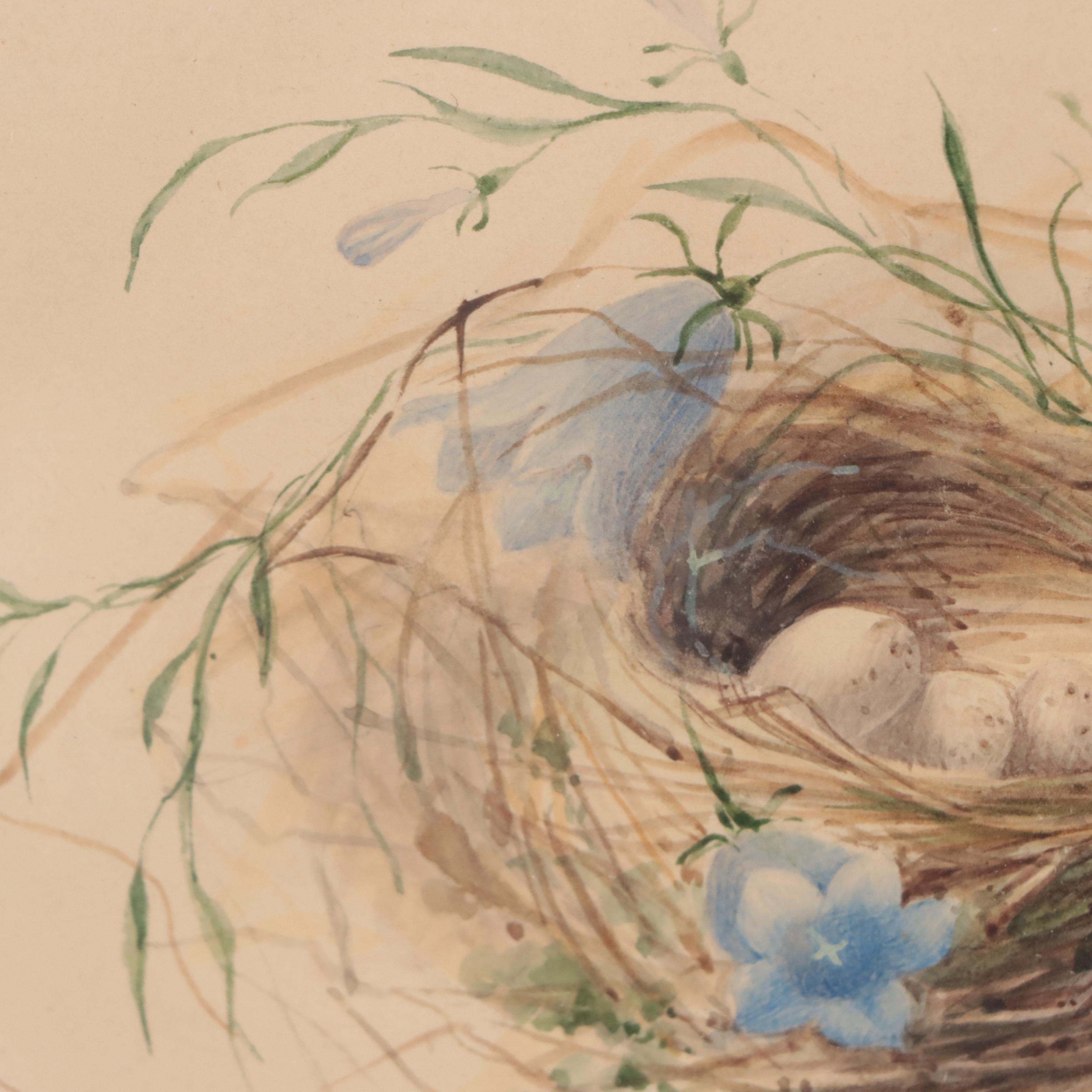 Watercolor Painting of Bird's Nest