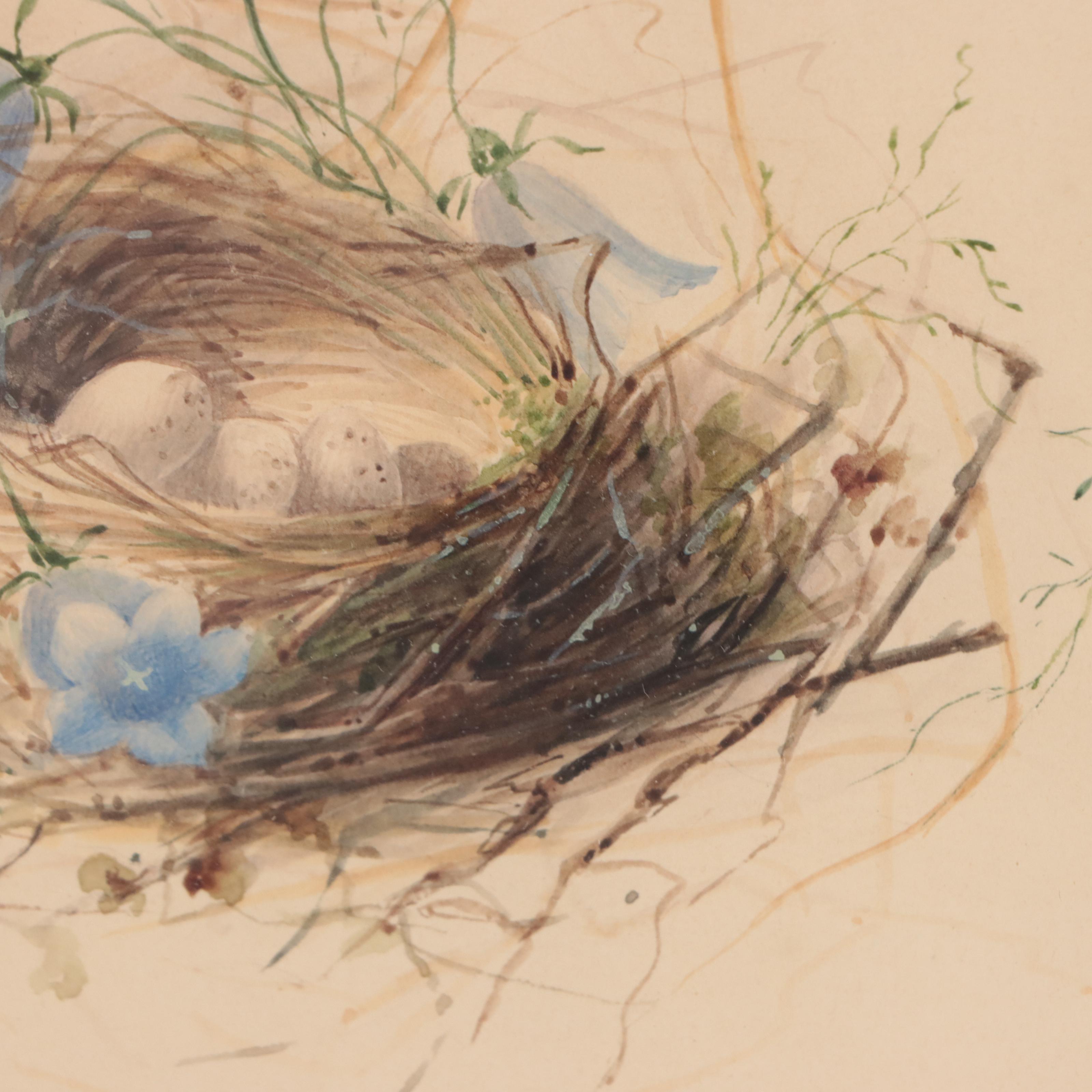 Watercolor Painting of Bird's Nest