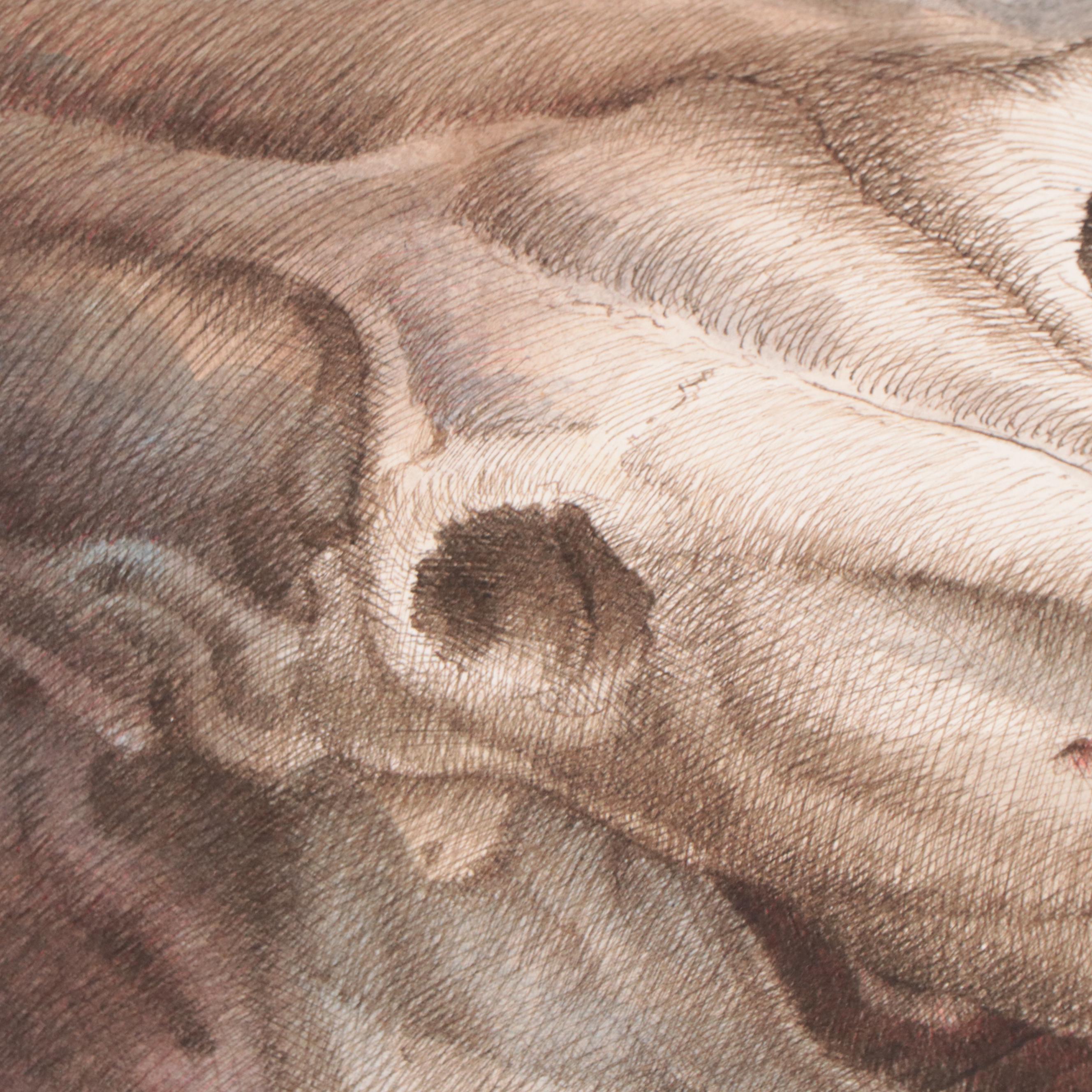 Antonio Lazo Watercolor and Ink Drawing "Skull," 1978