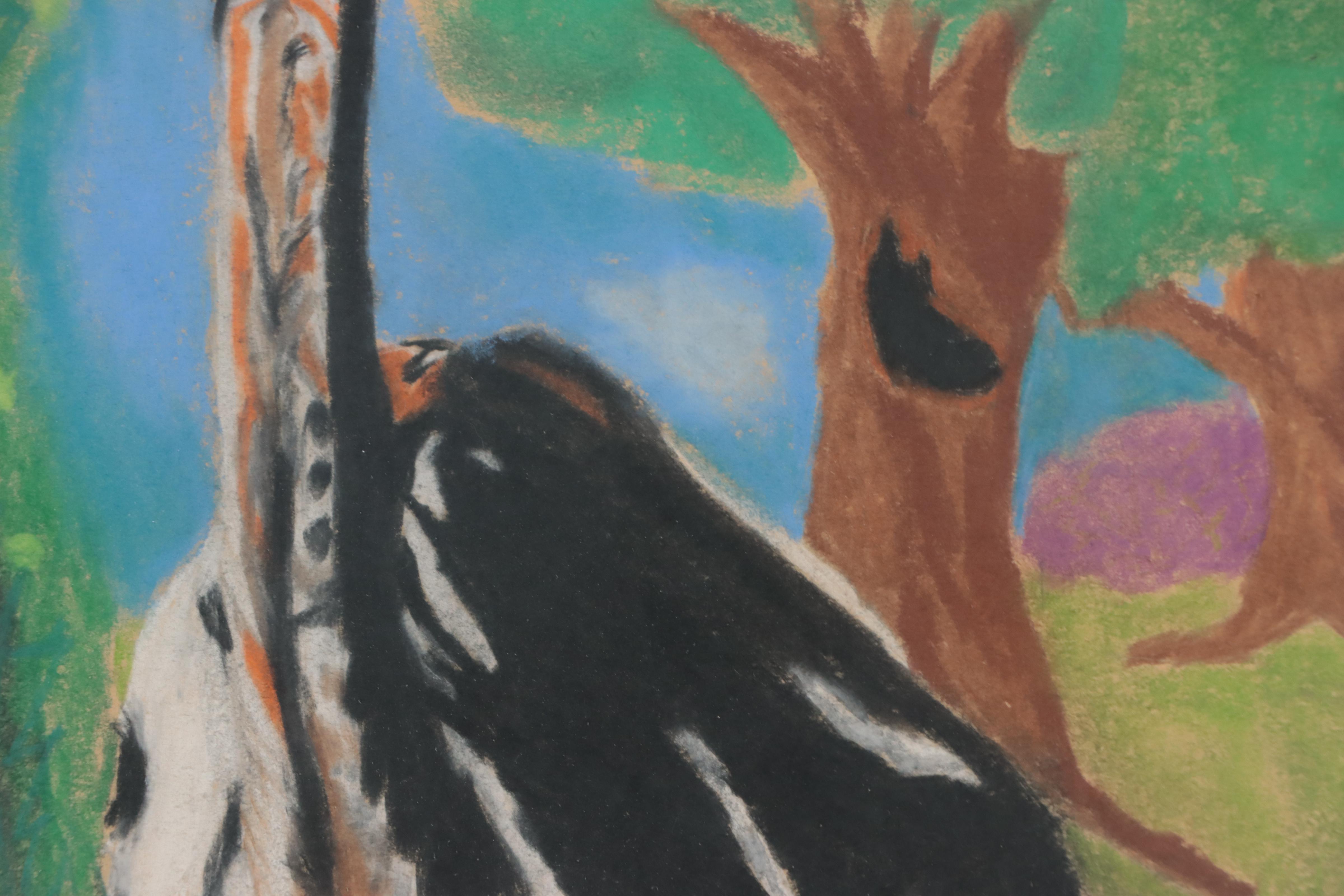 Chalk Pastel Drawing of Ostrich