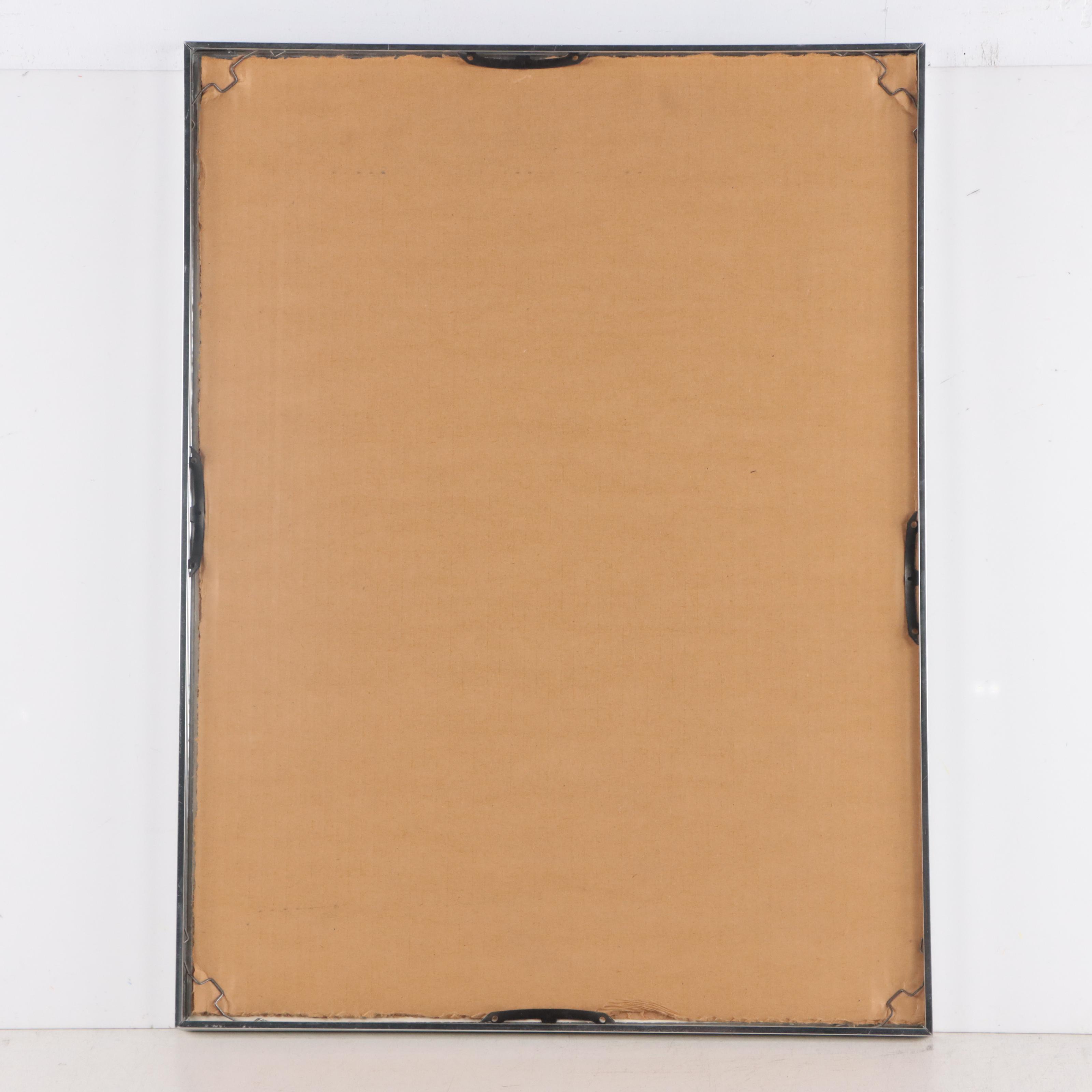 Chalk Pastel Drawing of Ostrich