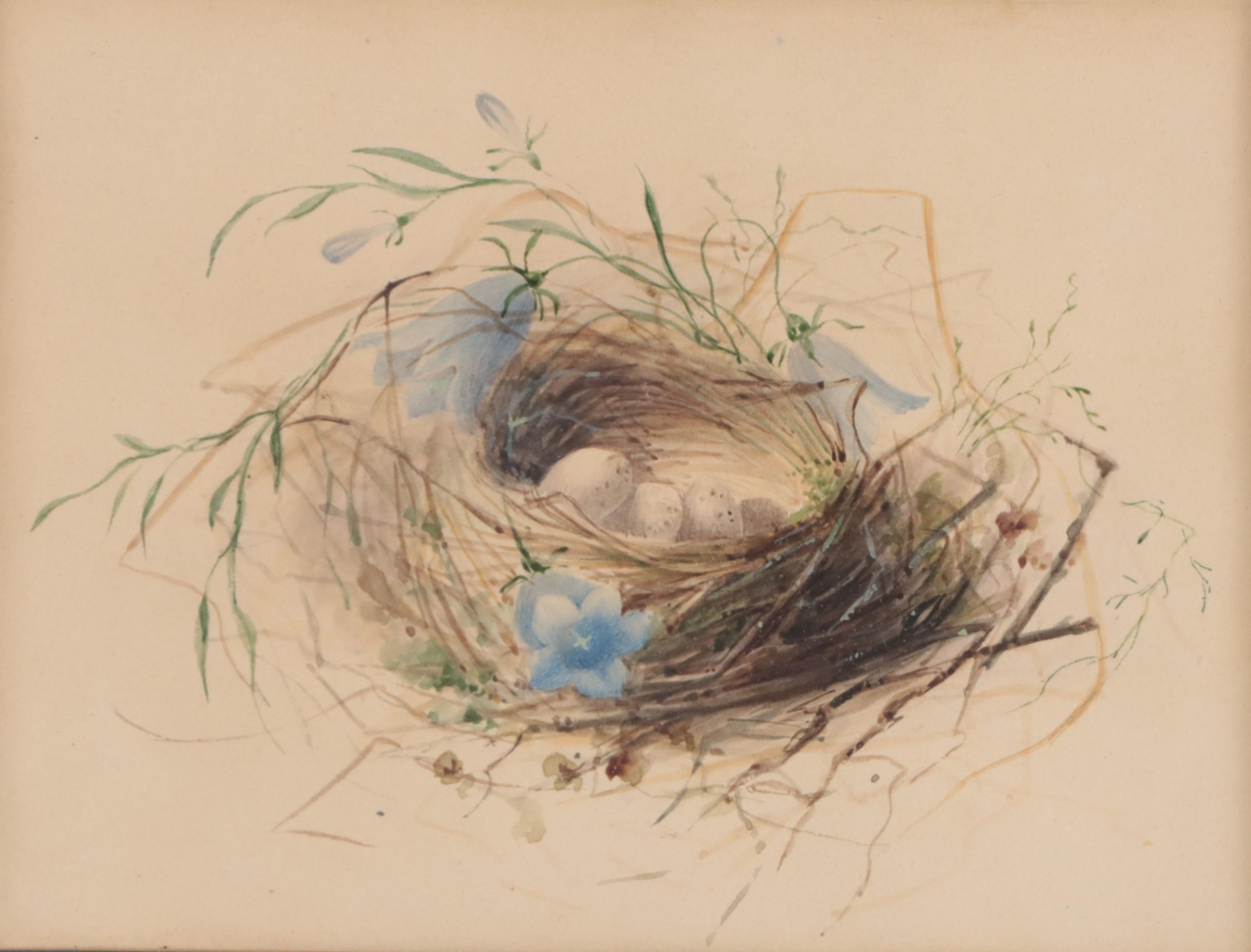 Watercolor Painting of Bird's Nest