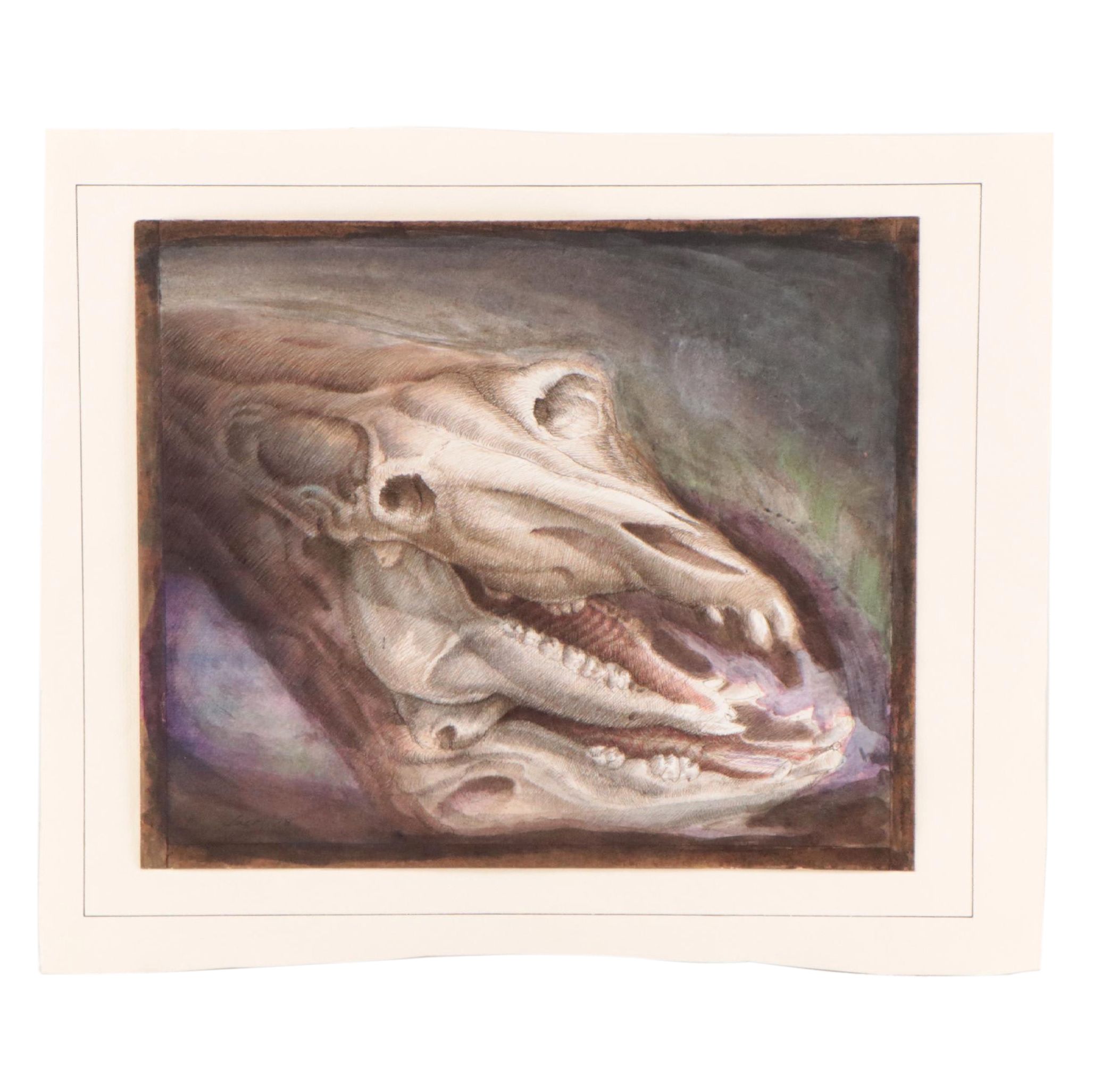 Antonio Lazo Watercolor and Ink Drawing "Skull," 1978