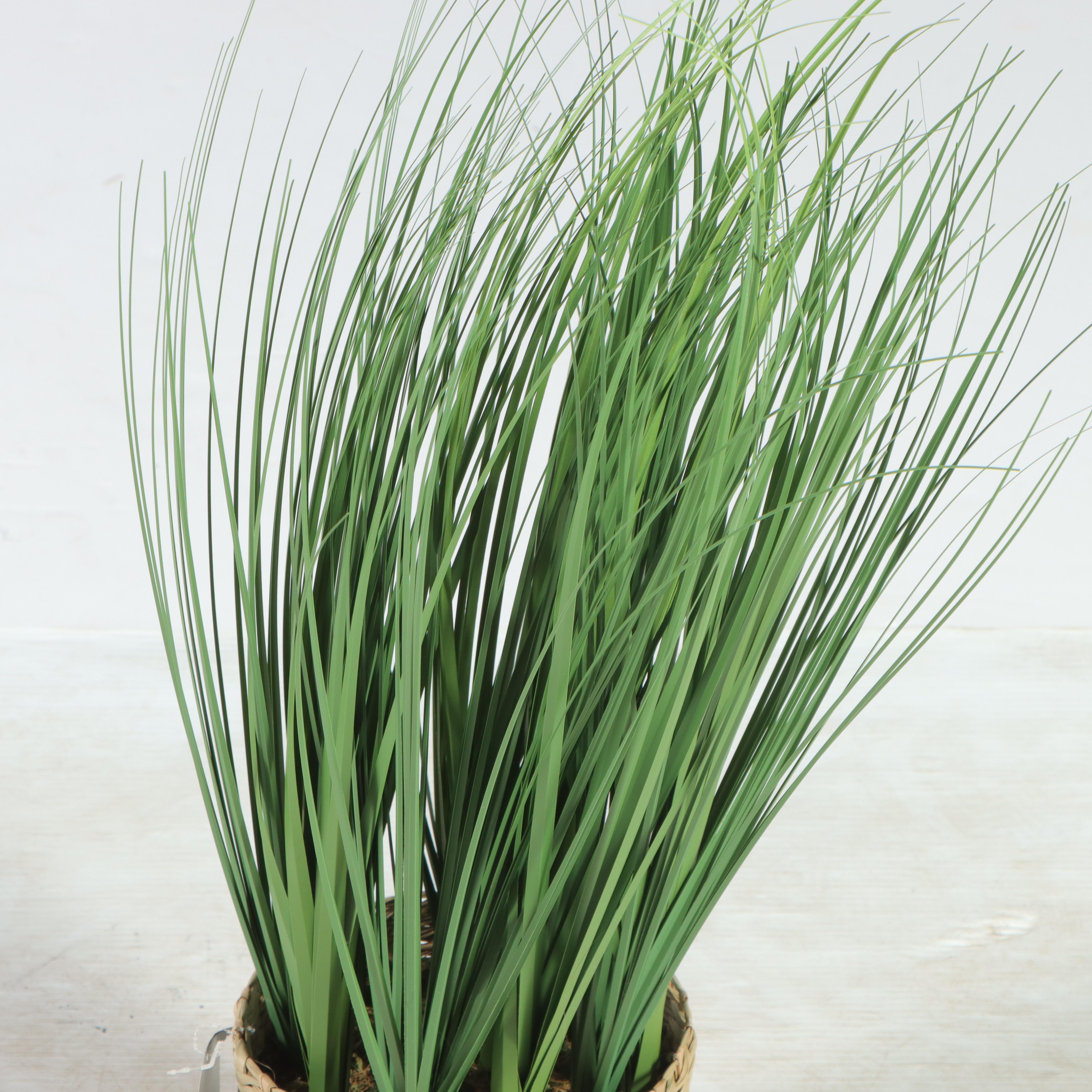 Threshold With Studio McGee Woven Magazine Holder and Potted Faux Grass