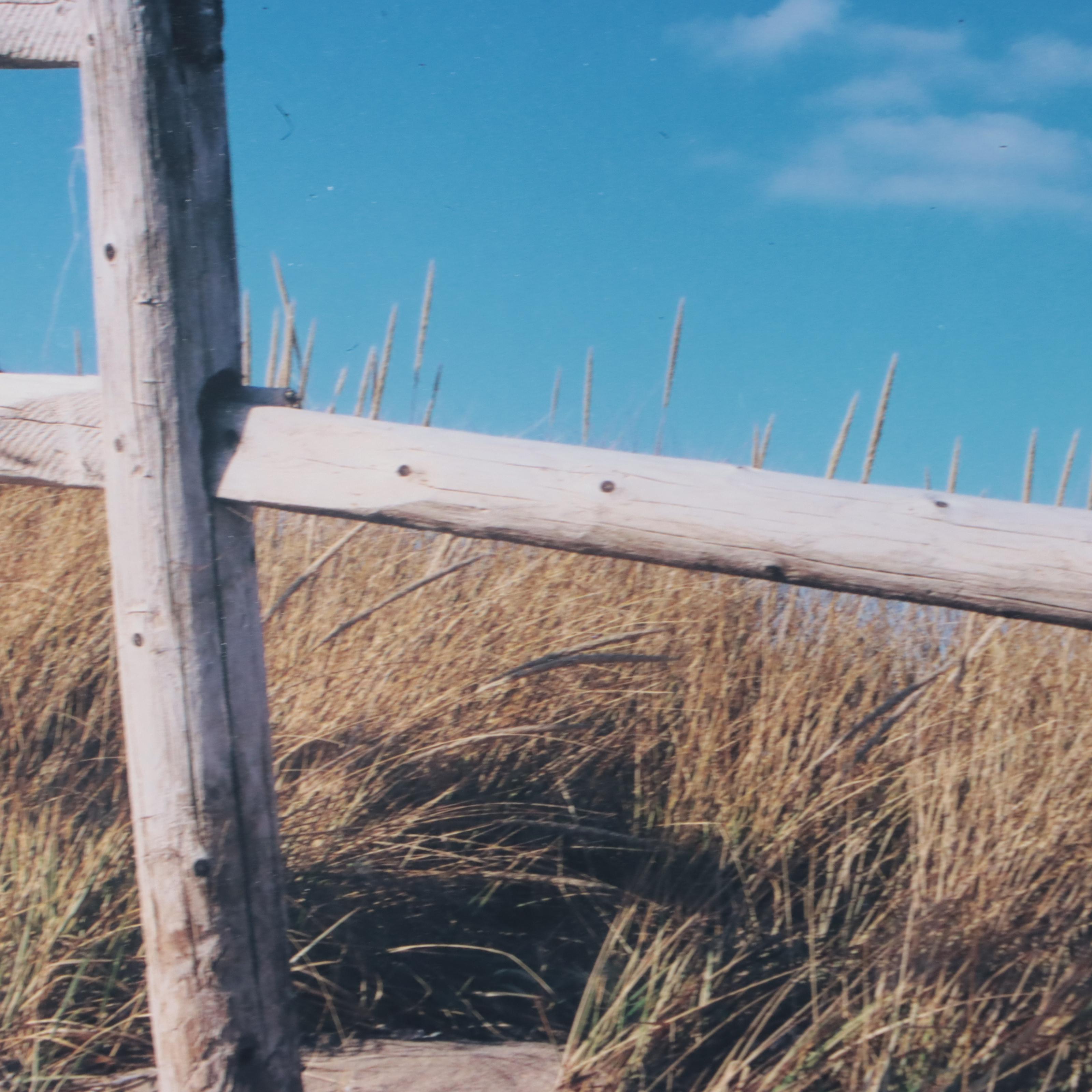 Pair of Digital Chomogenic Photographs of Tree and Fence