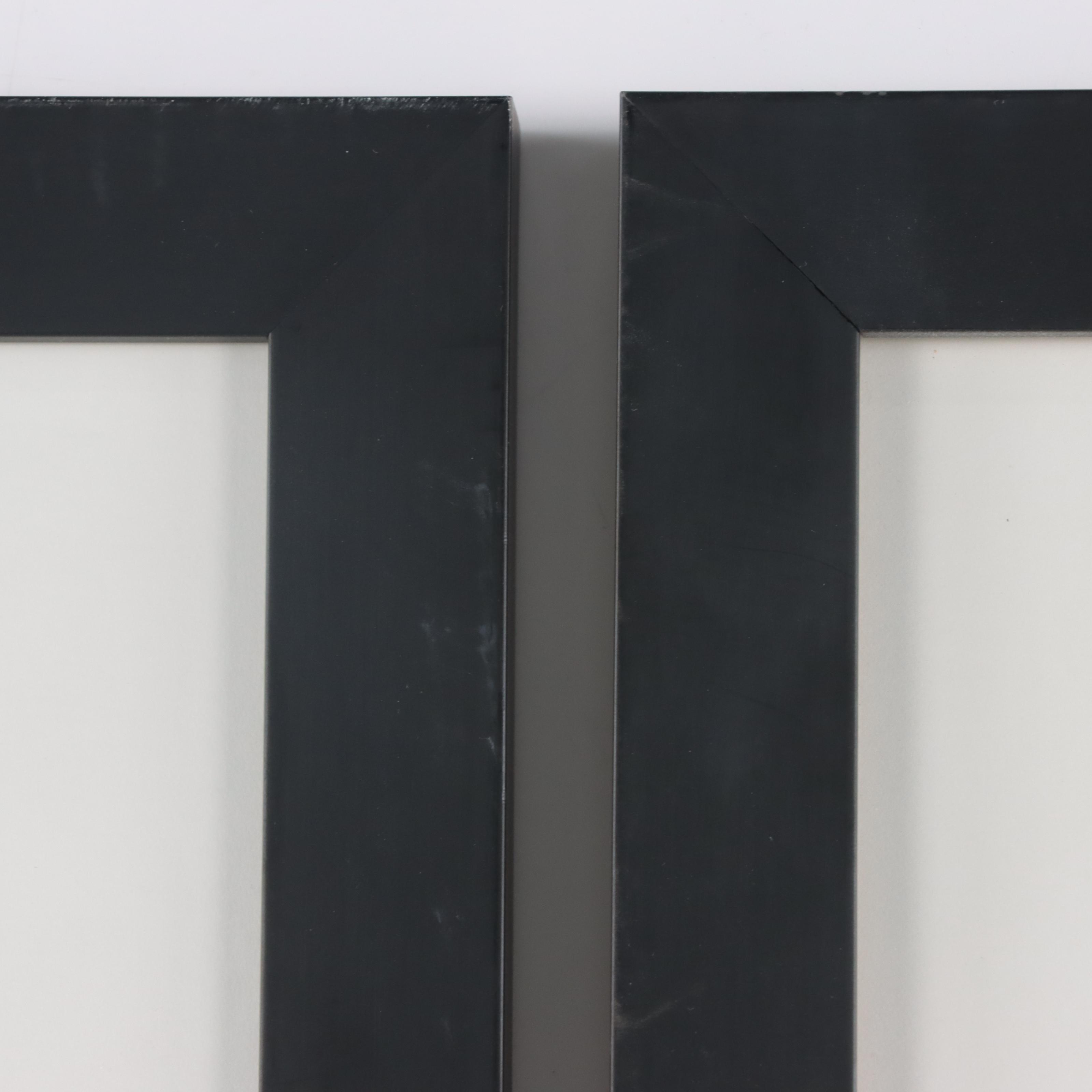 Pair of Digital Chomogenic Photographs of Tree and Fence