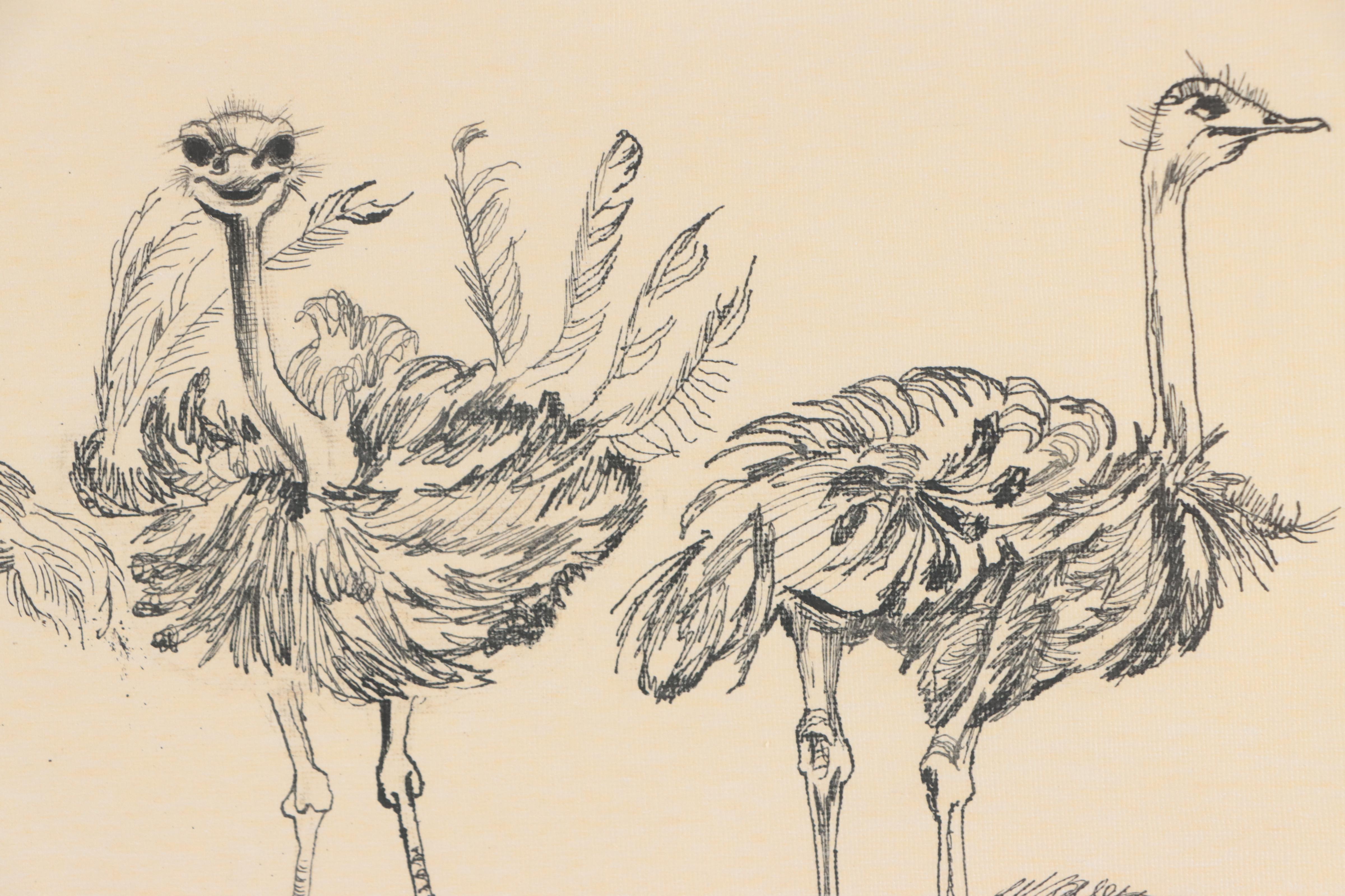 Ink Drawing of Ostriches