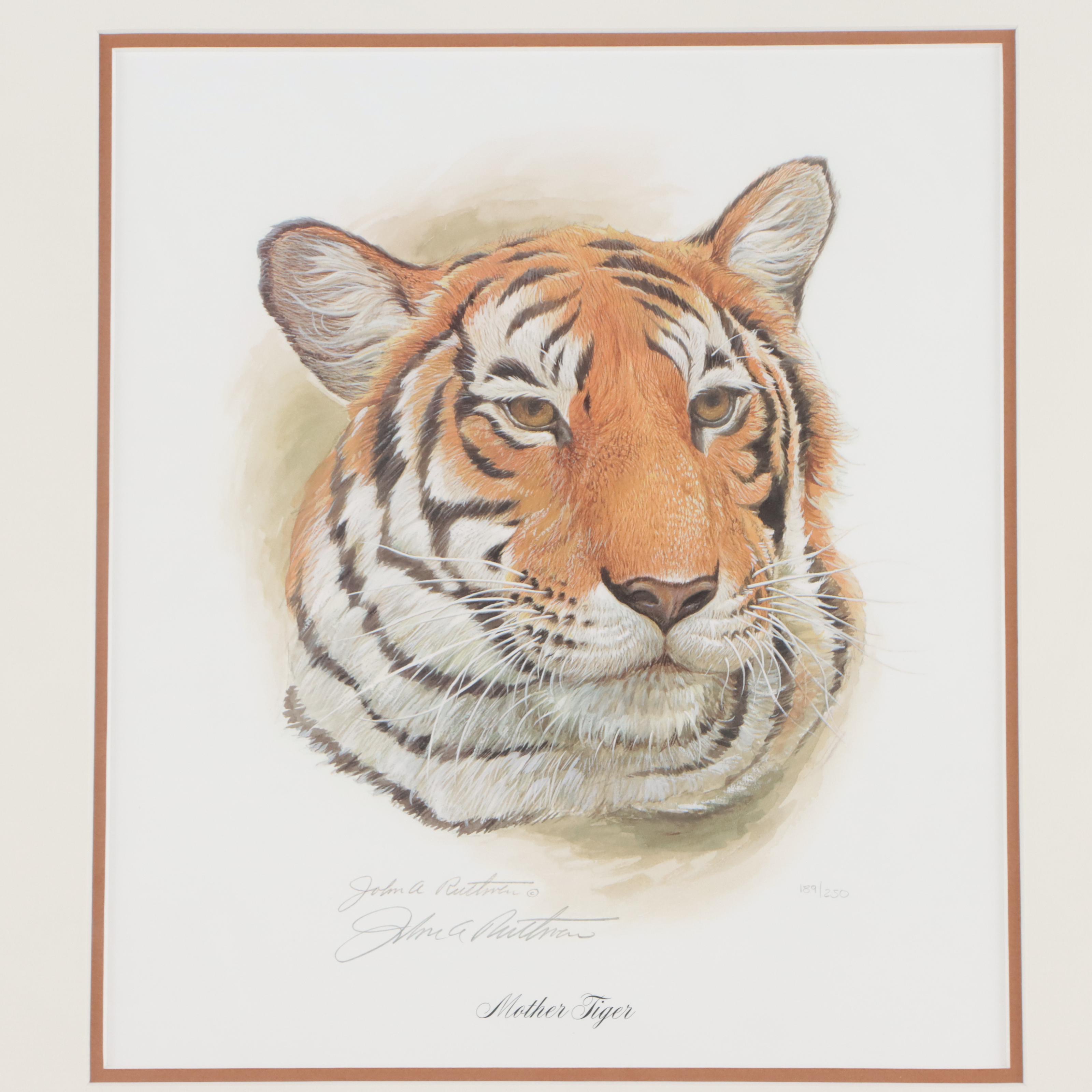 John Ruthven Offset Lithograph "Mother Tiger"