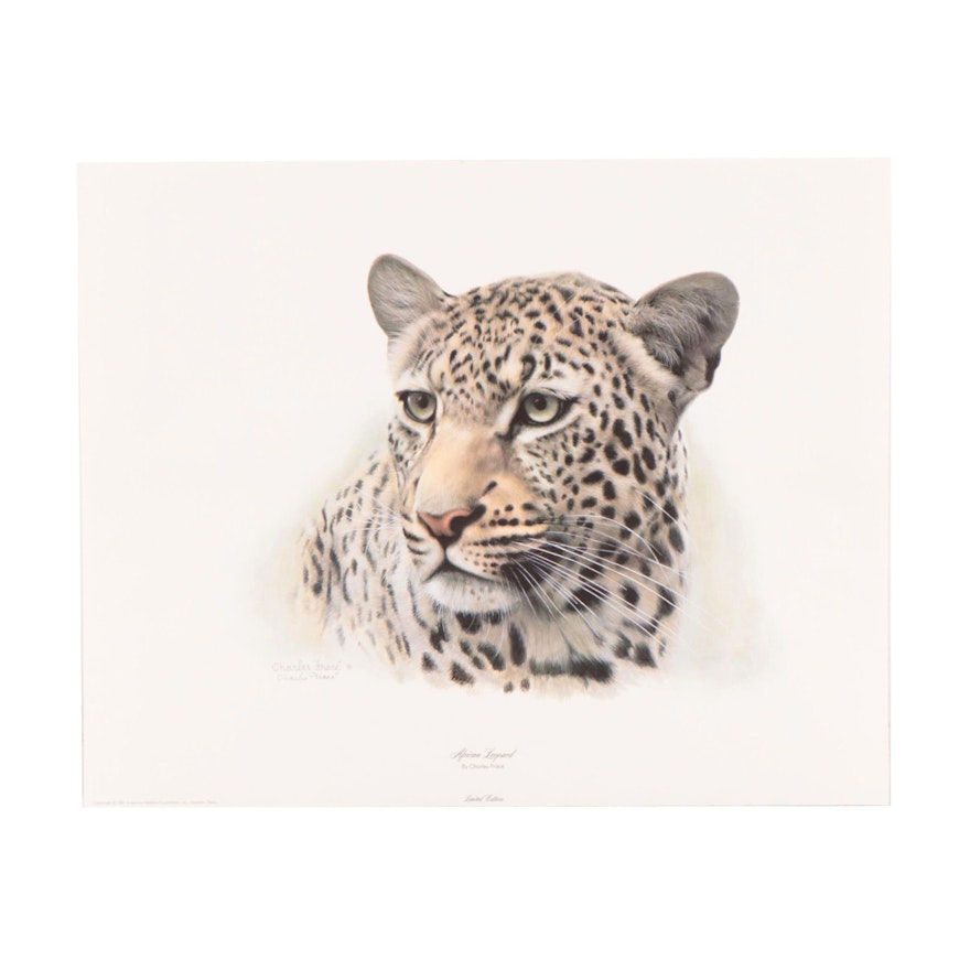 Charles Fracé Offset Lithograph "African Leopard," Circa 1981