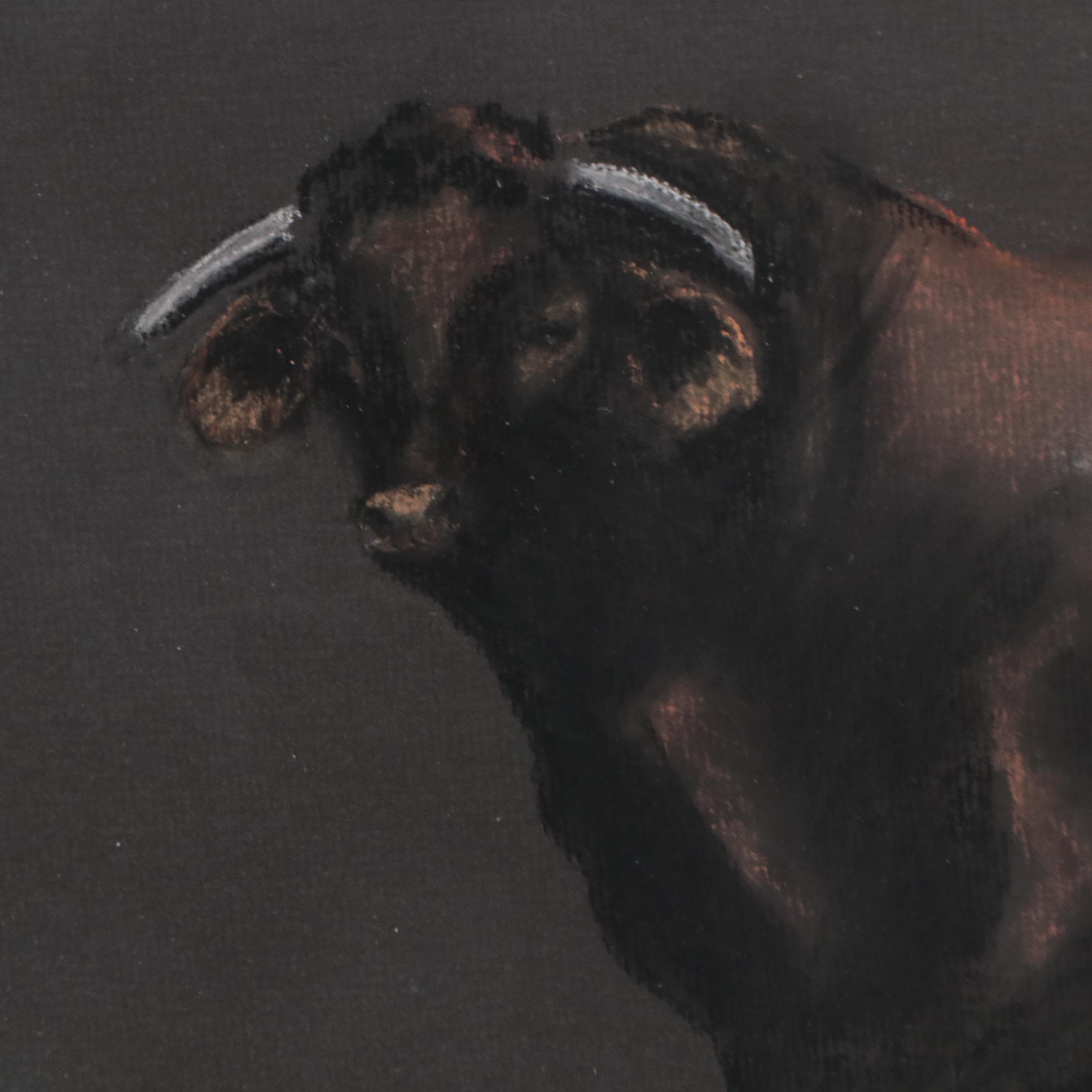Pastel Drawing of a Bull