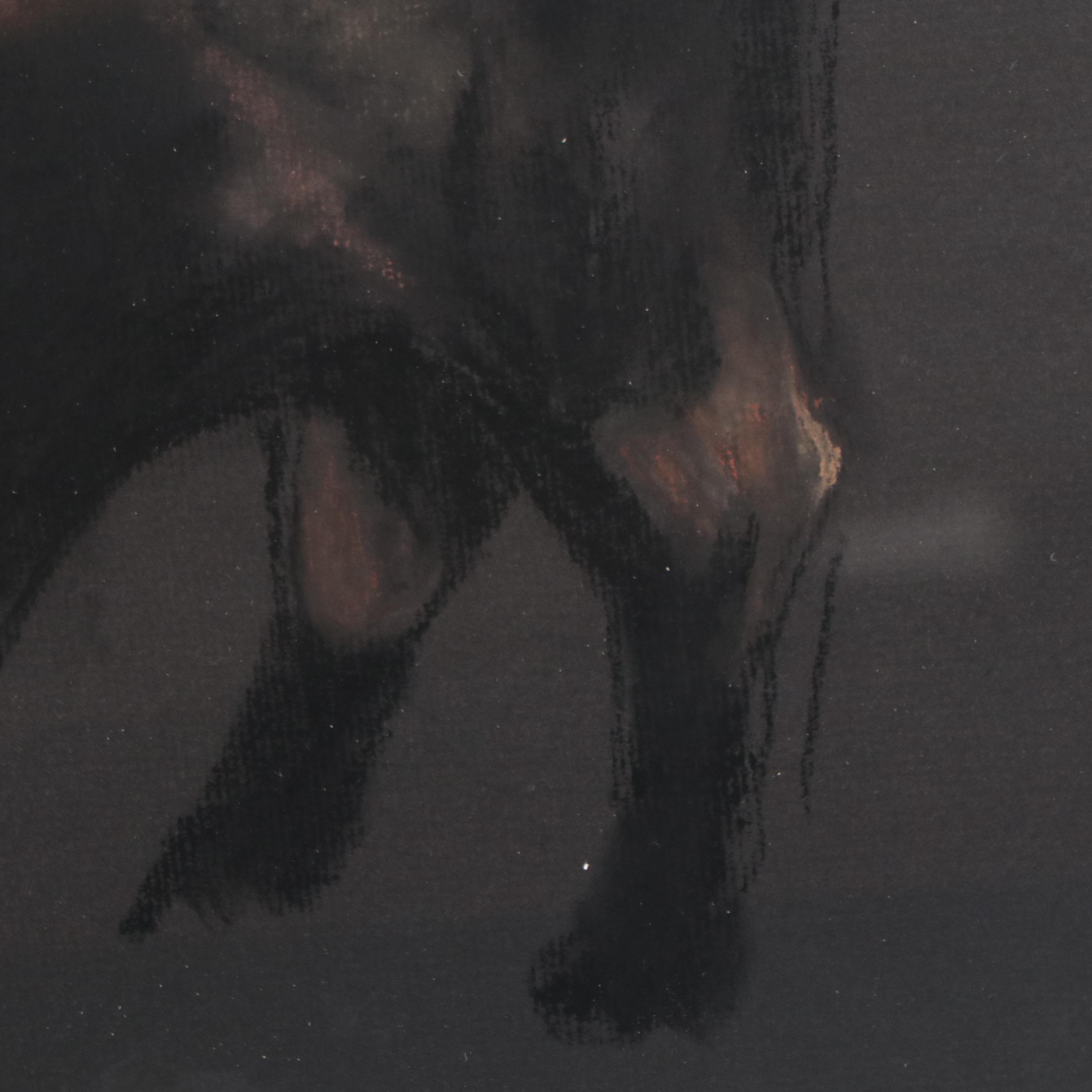 Pastel Drawing of a Bull