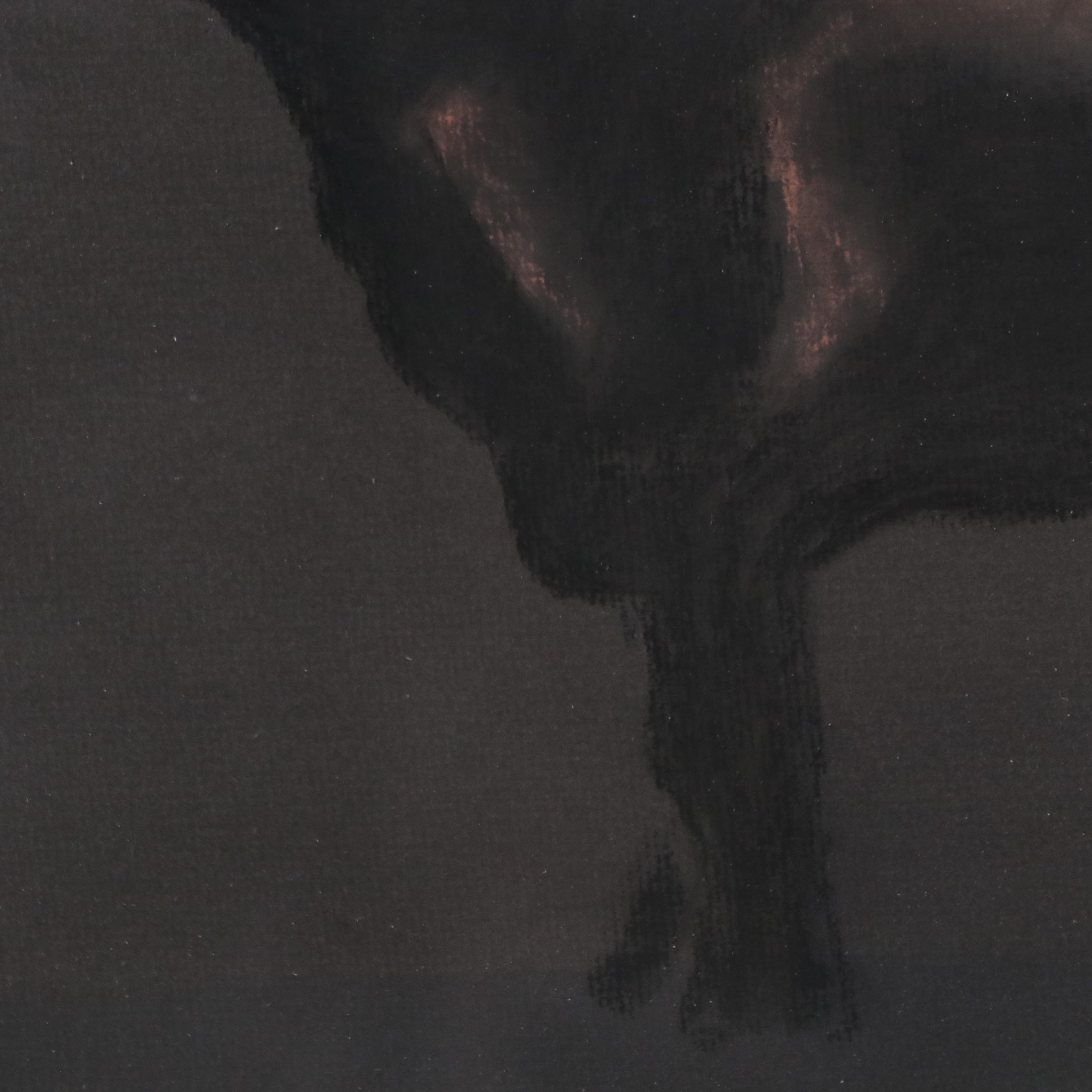 Pastel Drawing of a Bull