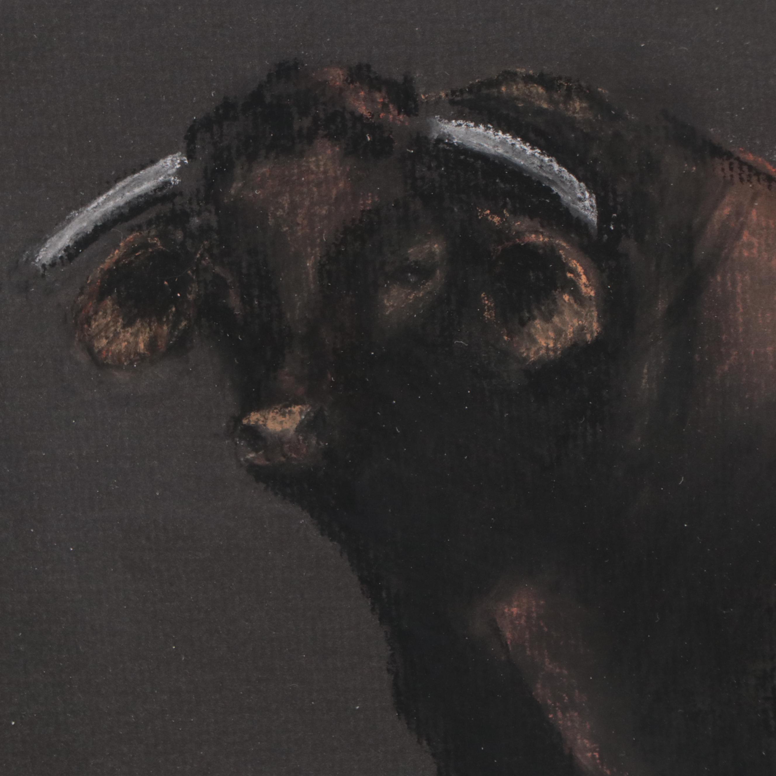 Pastel Drawing of a Bull