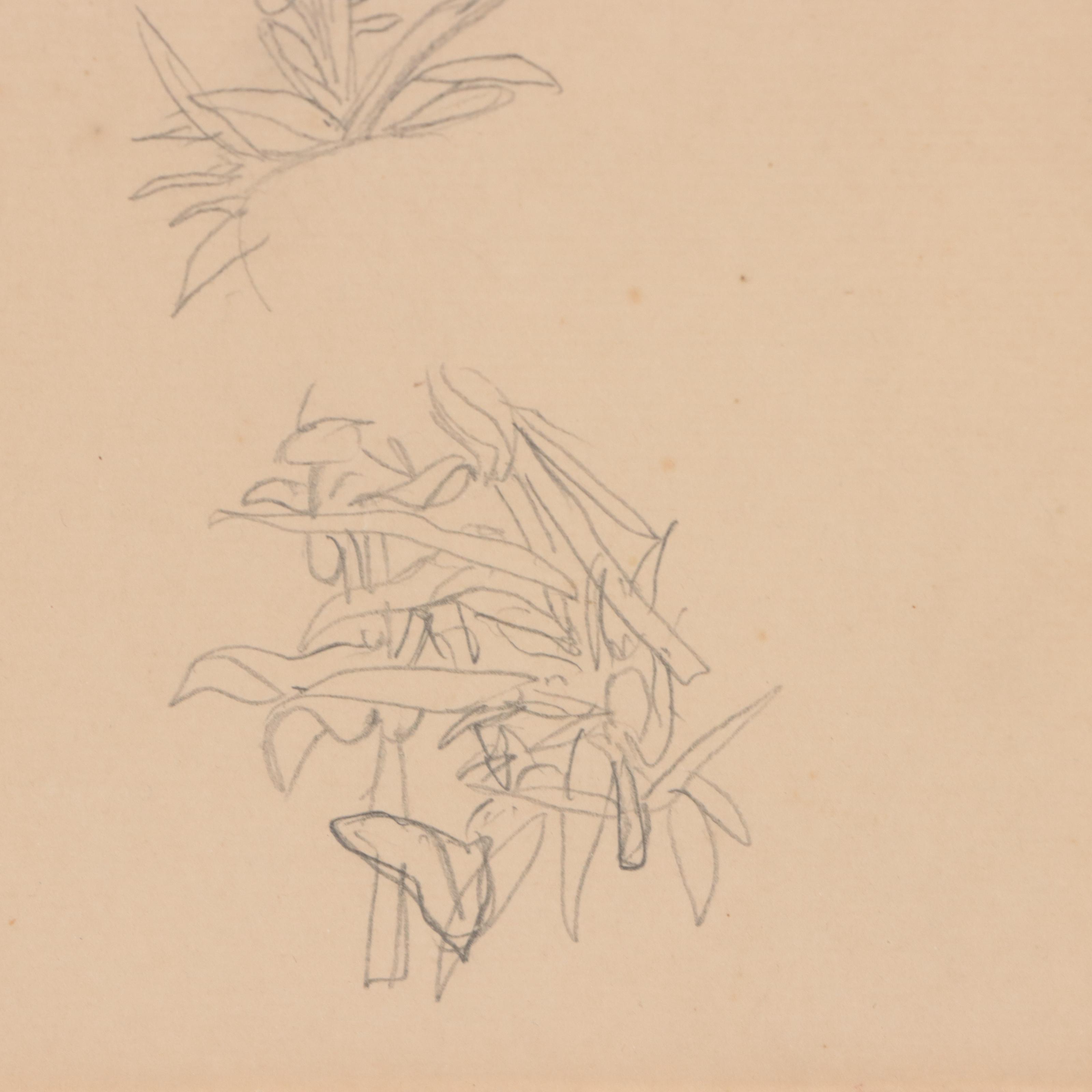 Graphite and Gouache Study of Hand and Flowers, Circa 1920