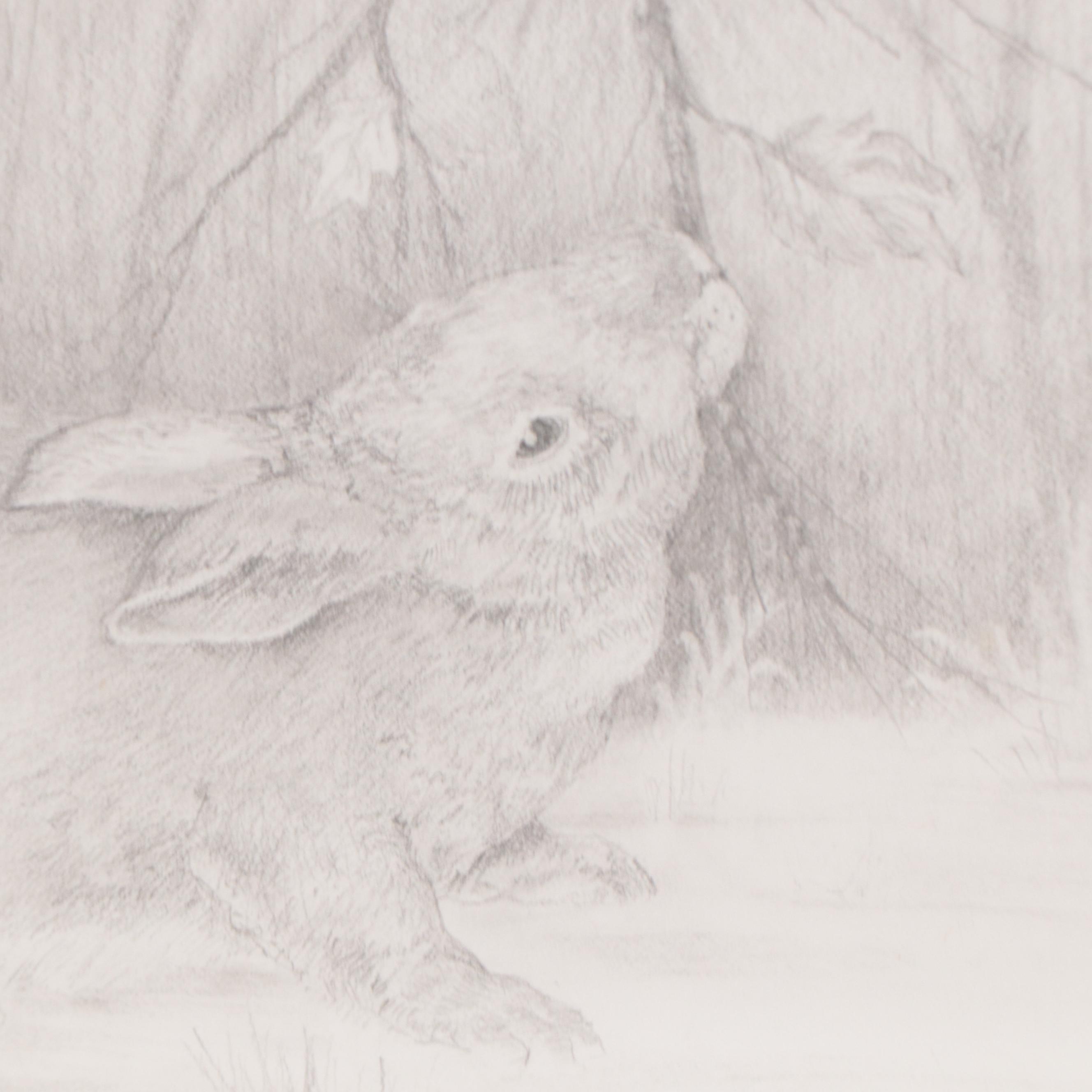 Graphite Drawing of Rabbit, 2003