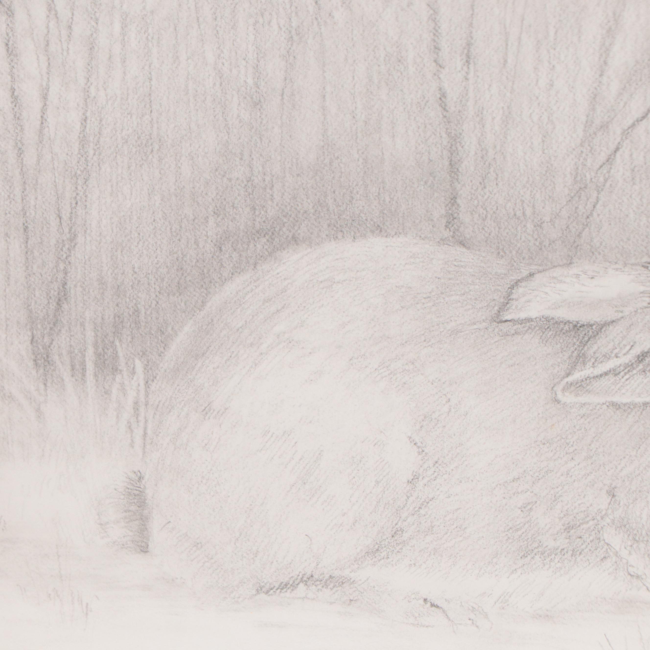 Graphite Drawing of Rabbit, 2003