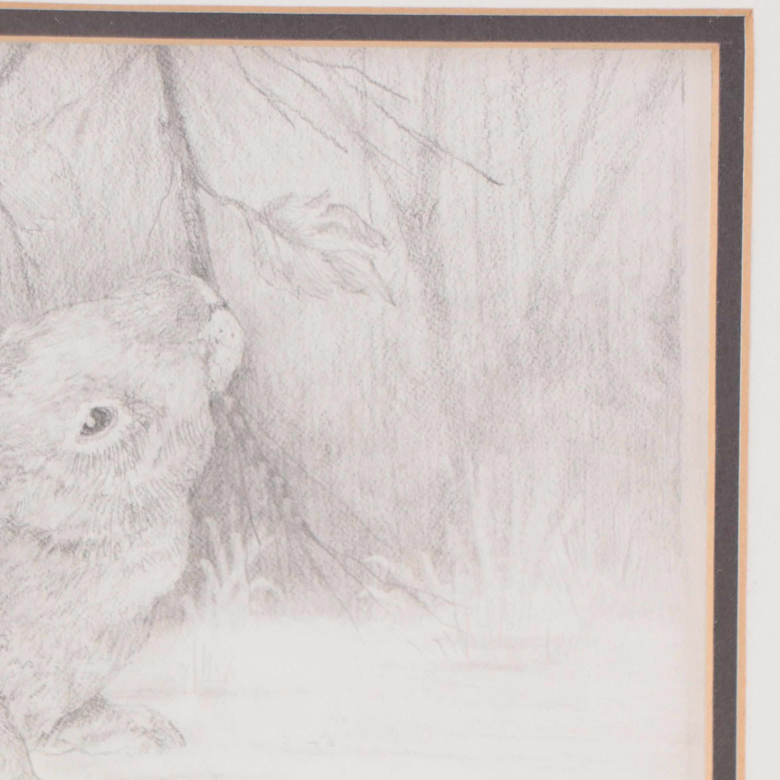 Graphite Drawing of Rabbit, 2003