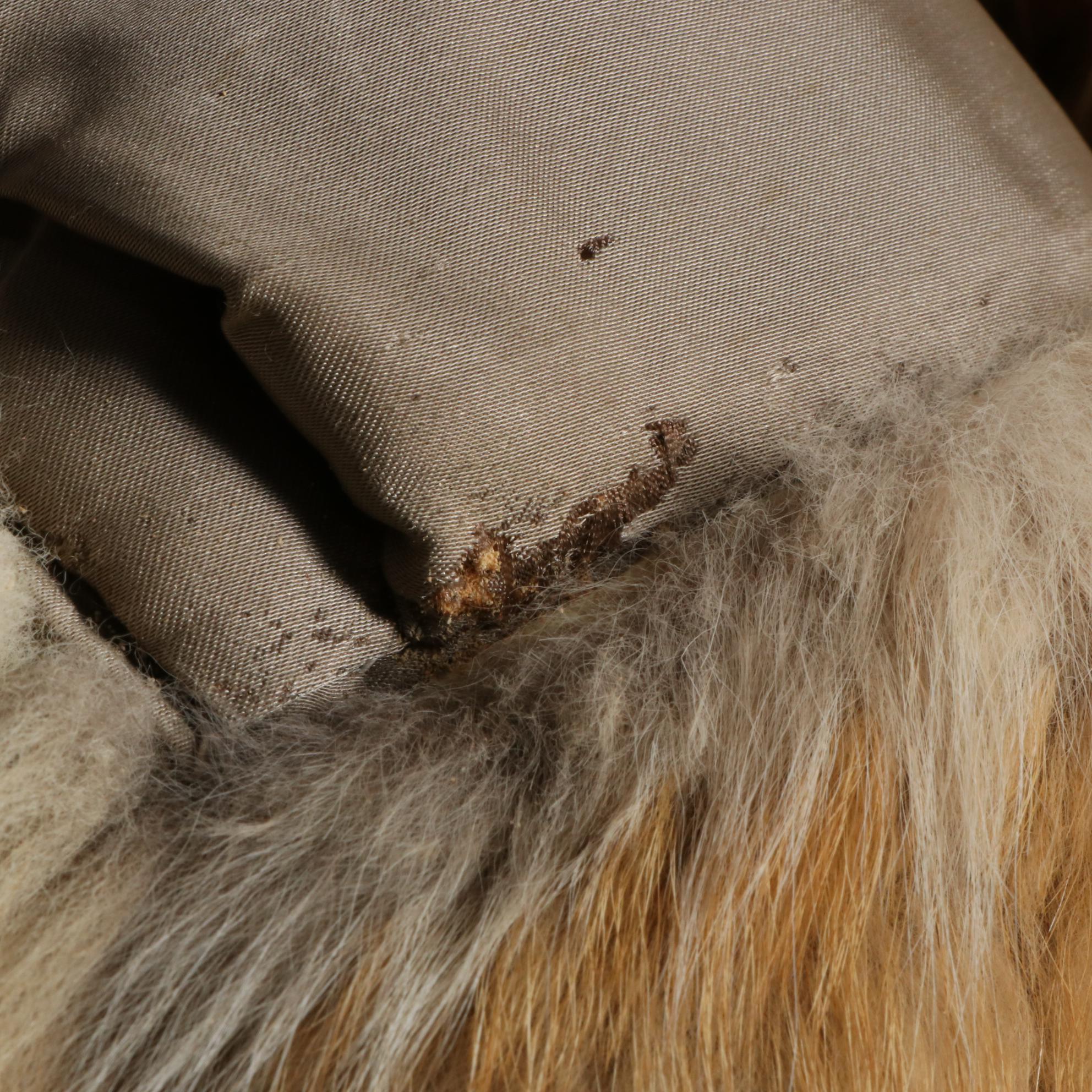 Canadian Red Fox Fur Coat