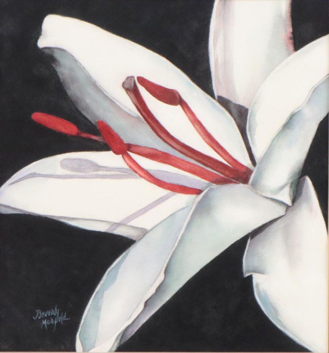 Beverly Morfeld Watercolor Painting of Lily, Late 20th Century