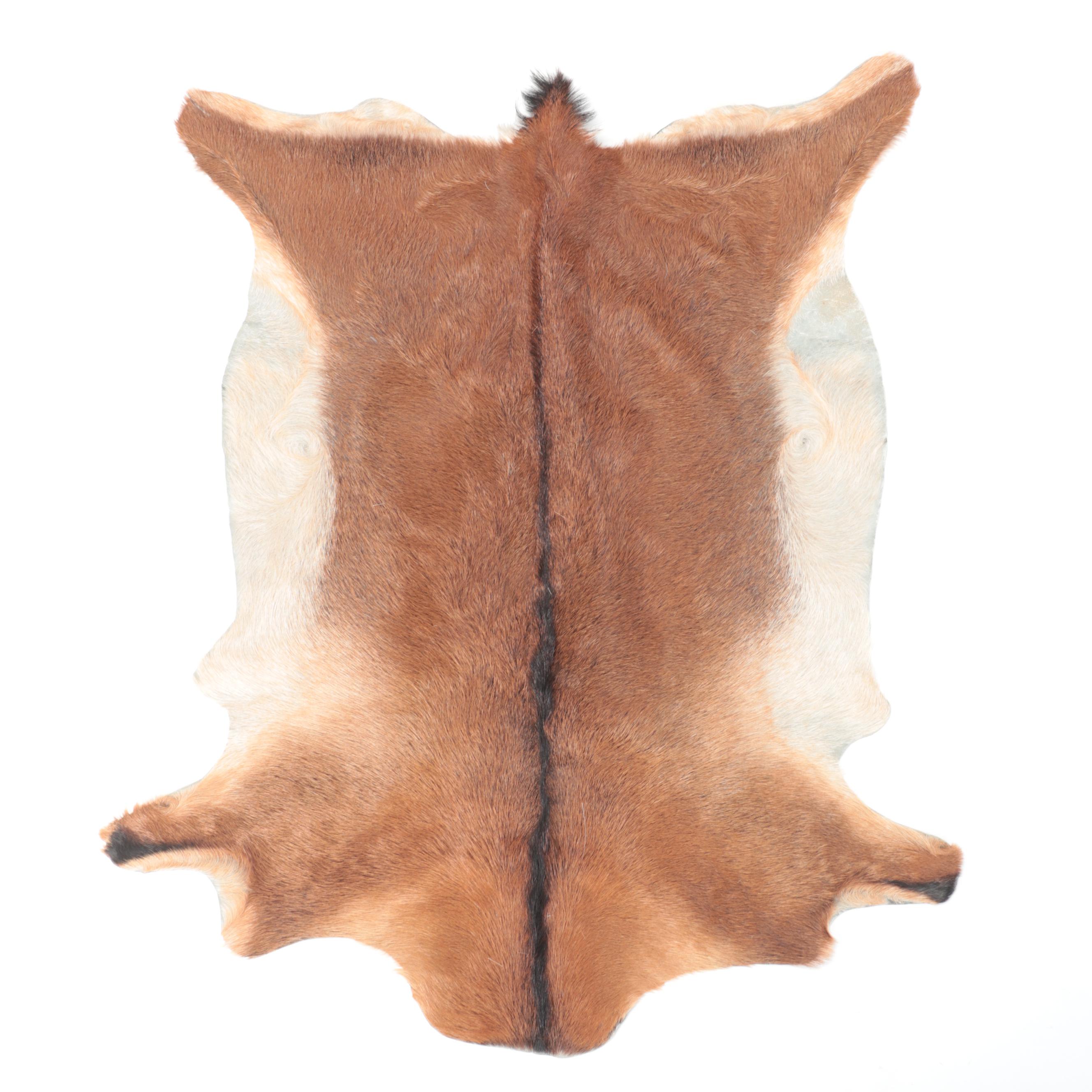 Goat and Springbok Pelt Accent Pillows and Grant's Gazelle Throw Rug