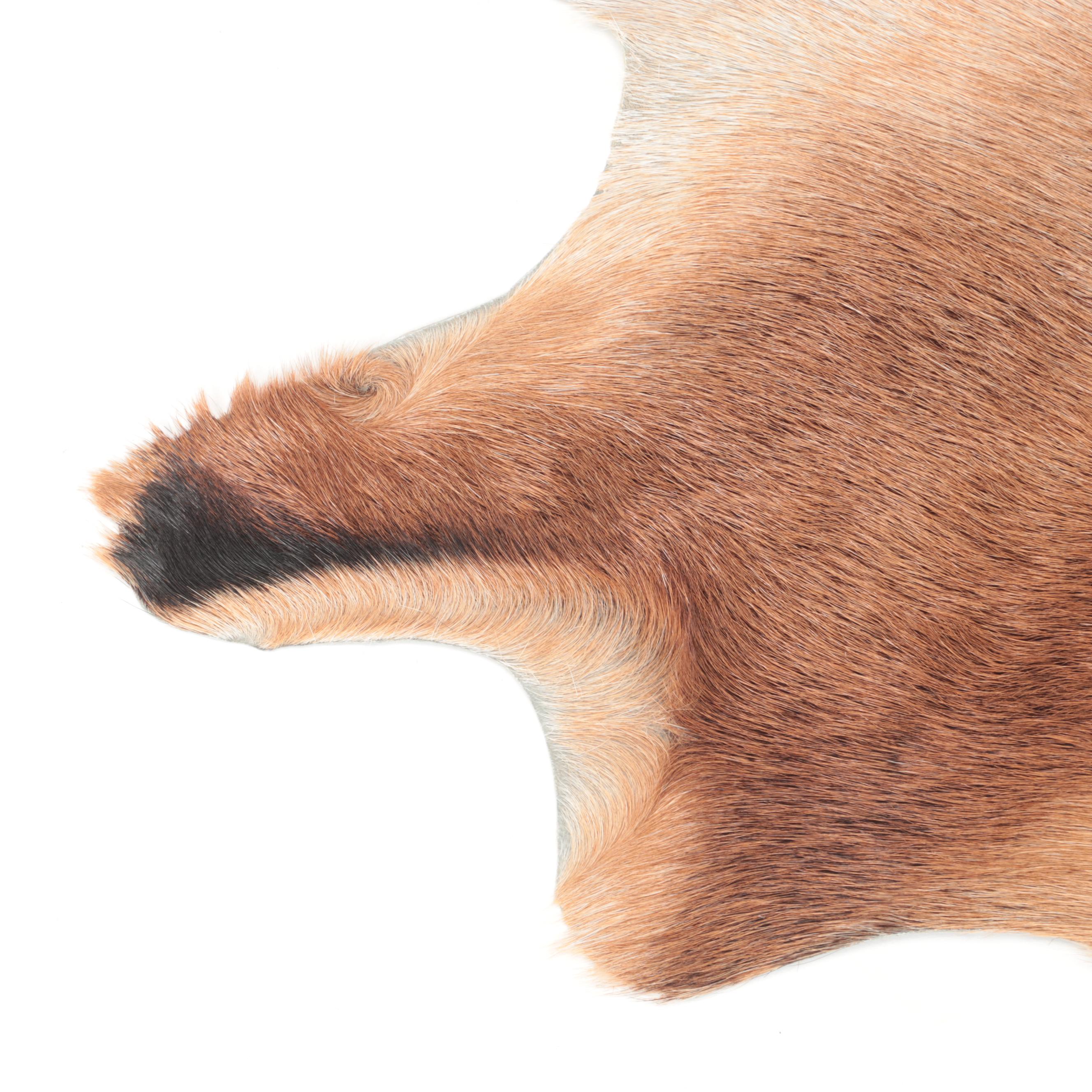 Goat and Springbok Pelt Accent Pillows and Grant's Gazelle Throw Rug