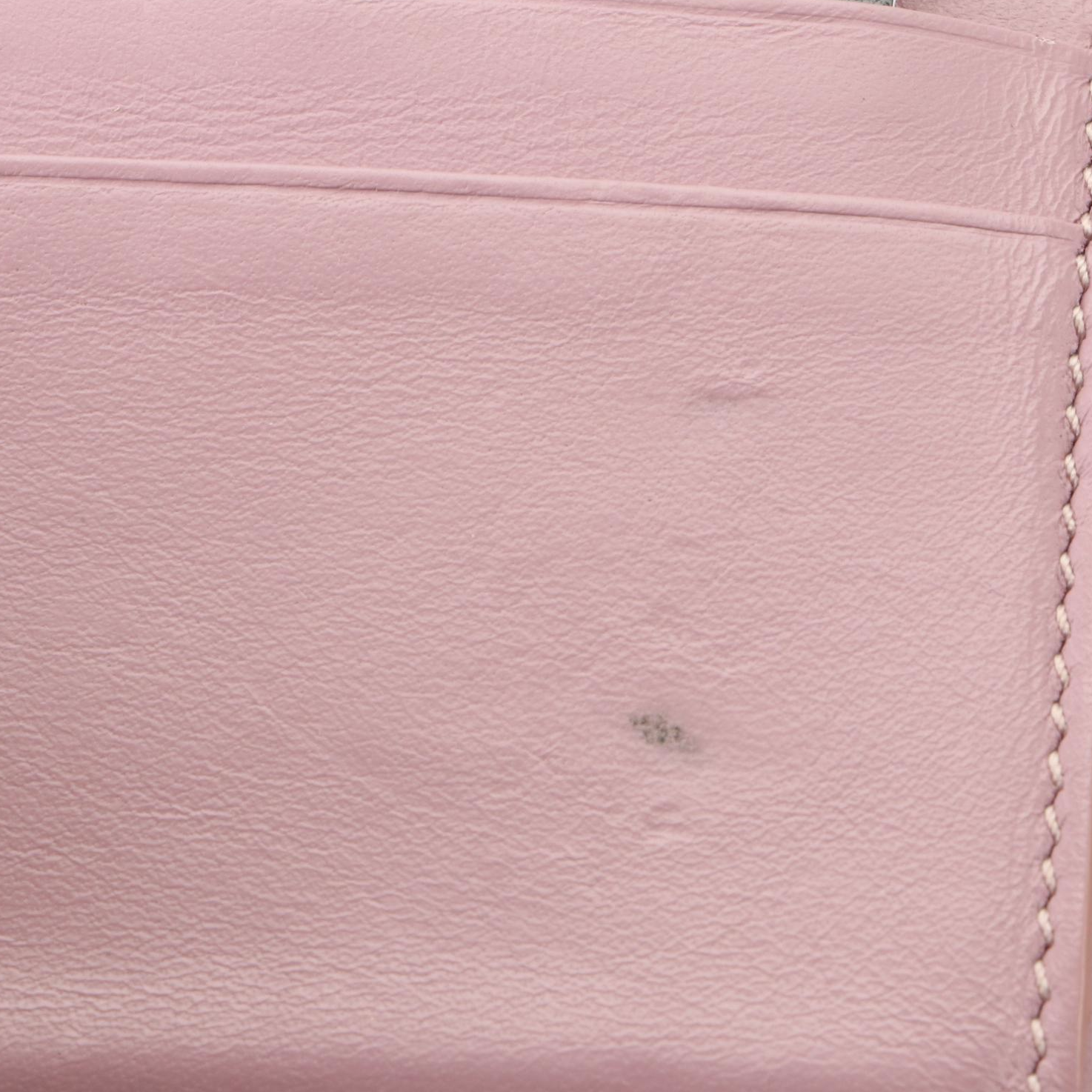 Céline Multifunction Strap Leather Wallet