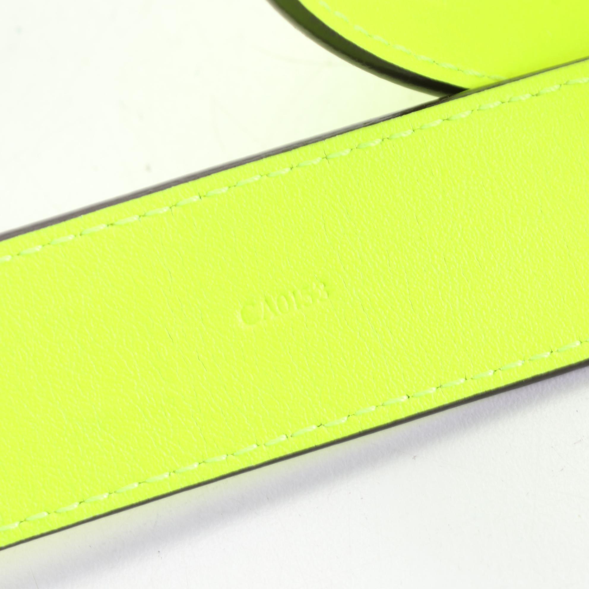 Louis Vuitton Belt in Damier Infini and Vachetta Leather