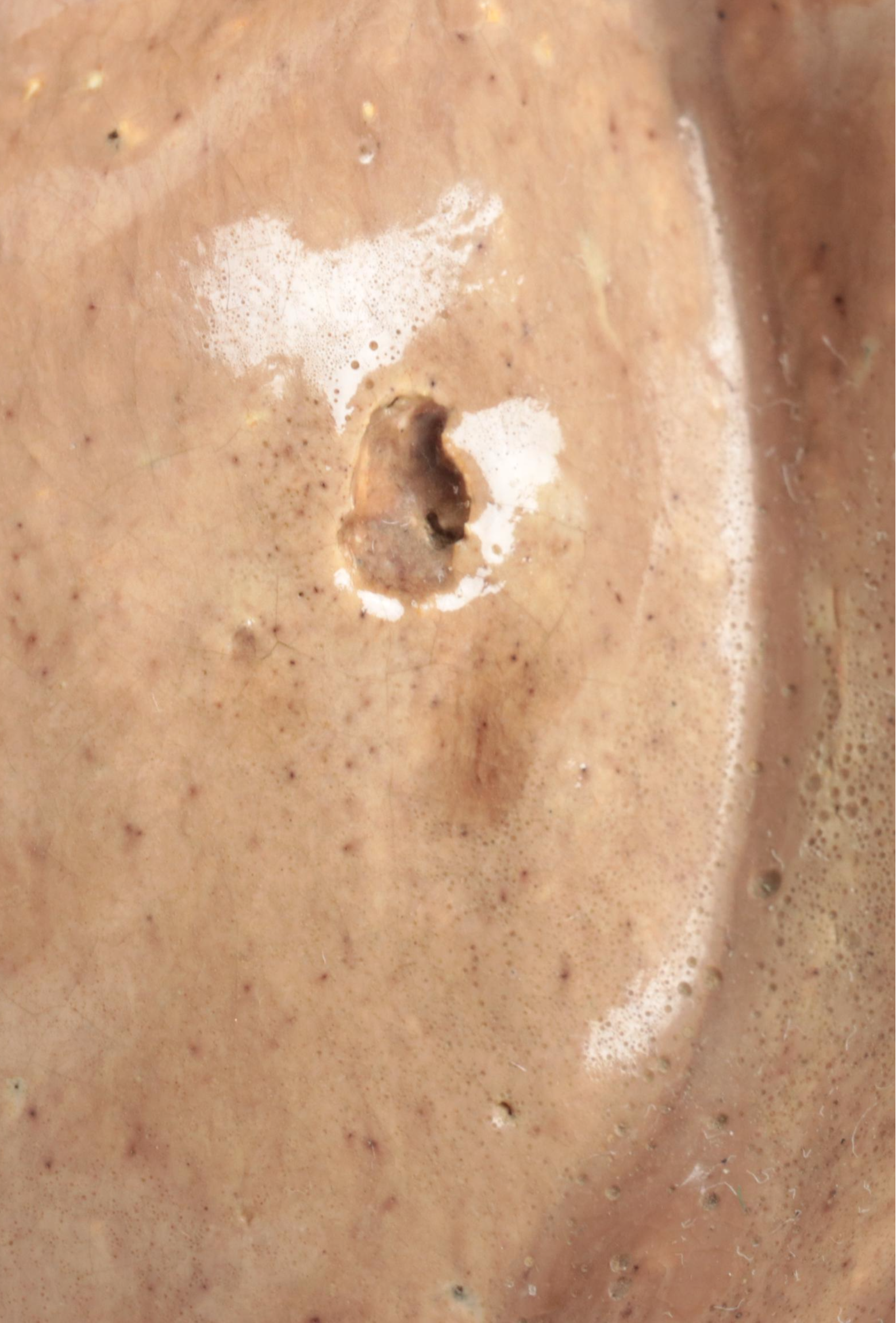 Sculpted Earthenware Bust of a Woman