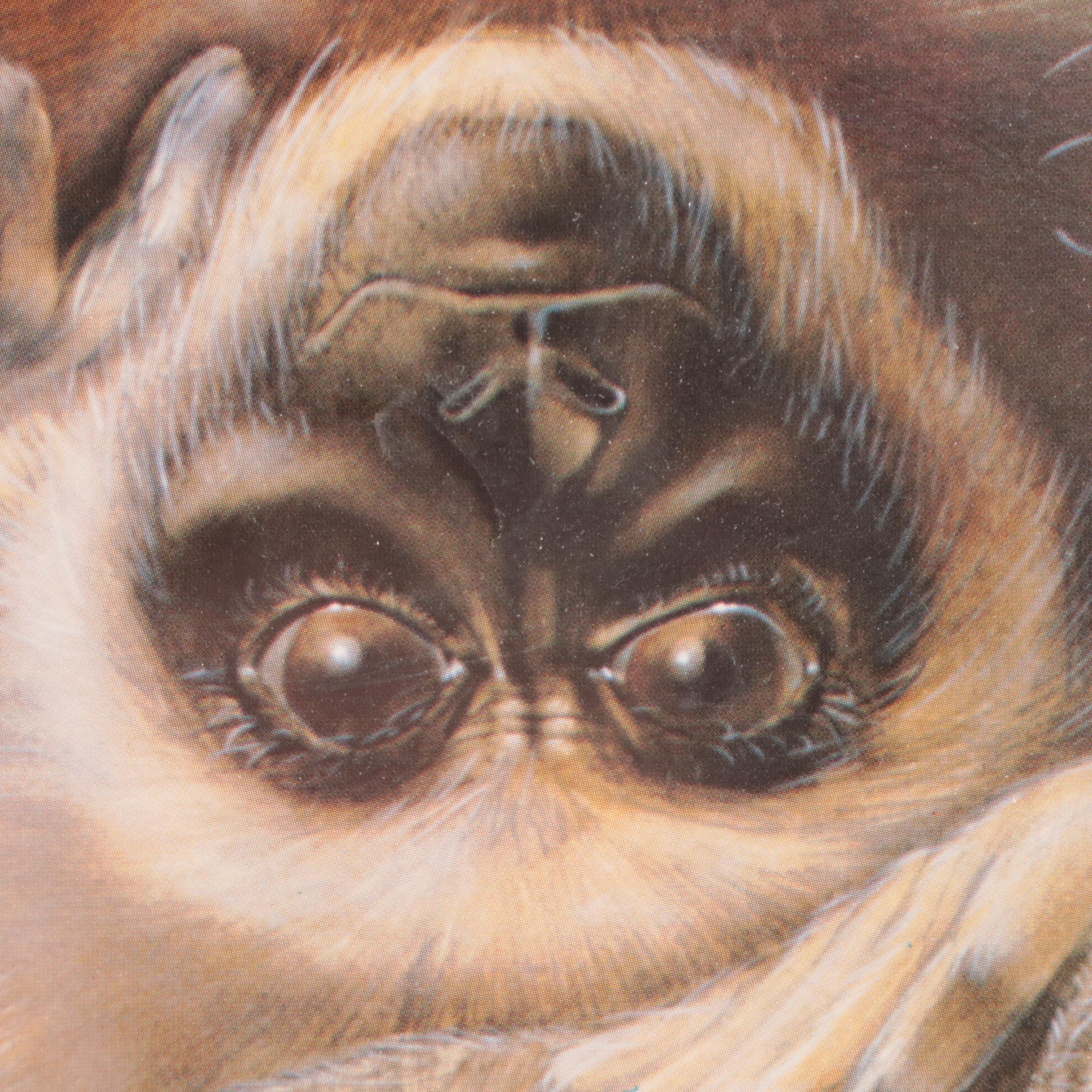 Cincinnati Zoo Offset Lithograph Poster After Lou Specker "New Ones," 1983