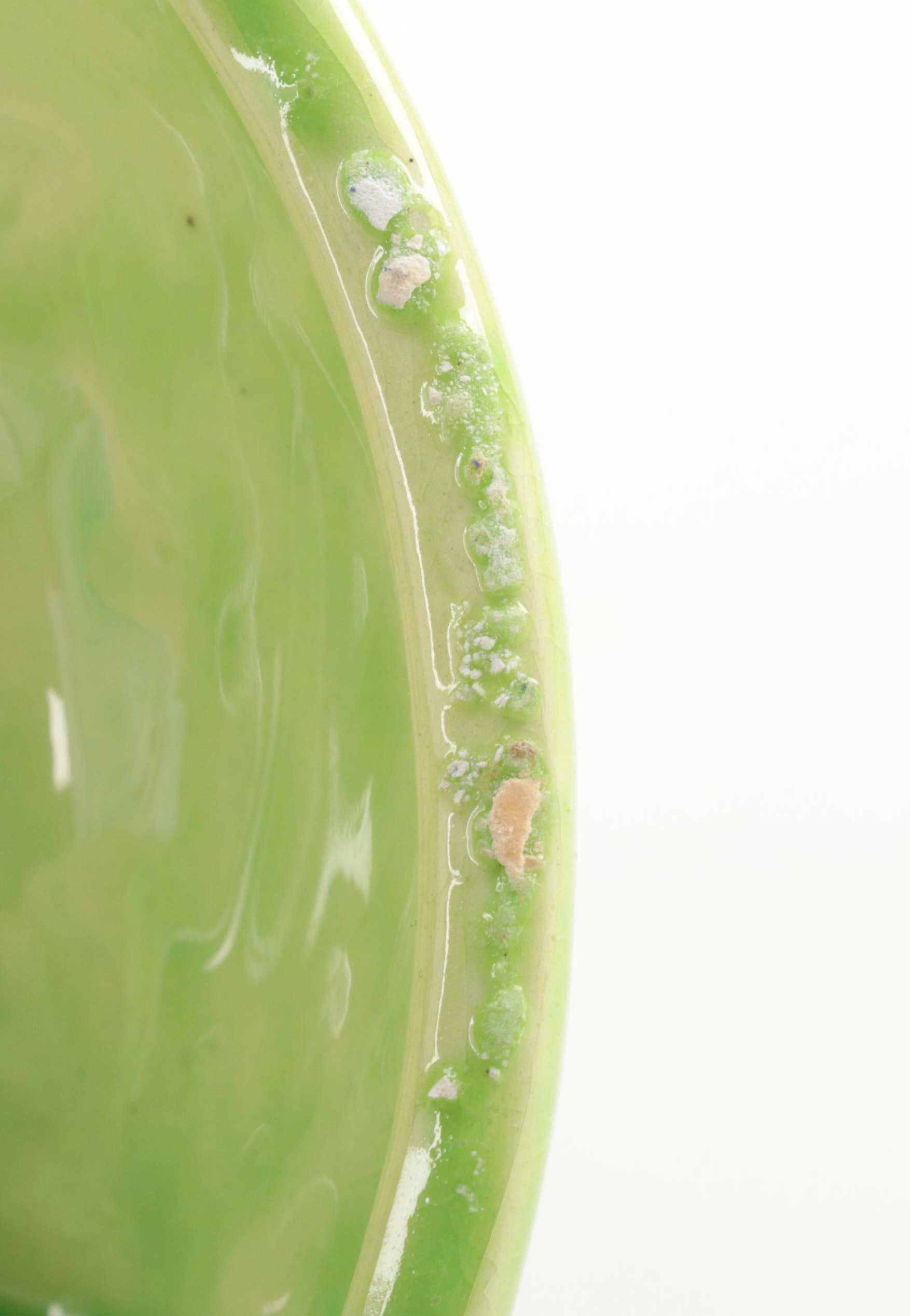 Portugese Cabbage Leaf Majolica Tableware and Other Platter