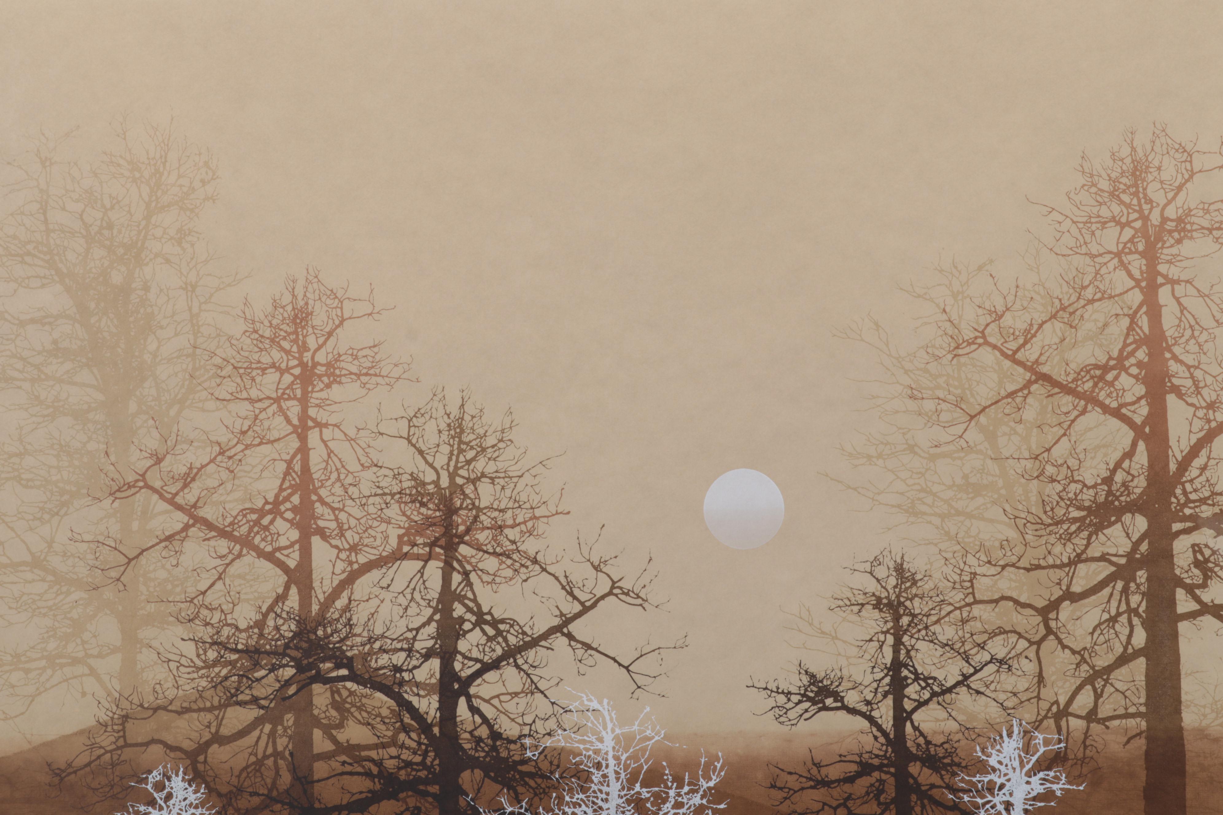 Virgil Thrasher Serigraph "Shadows," 1981