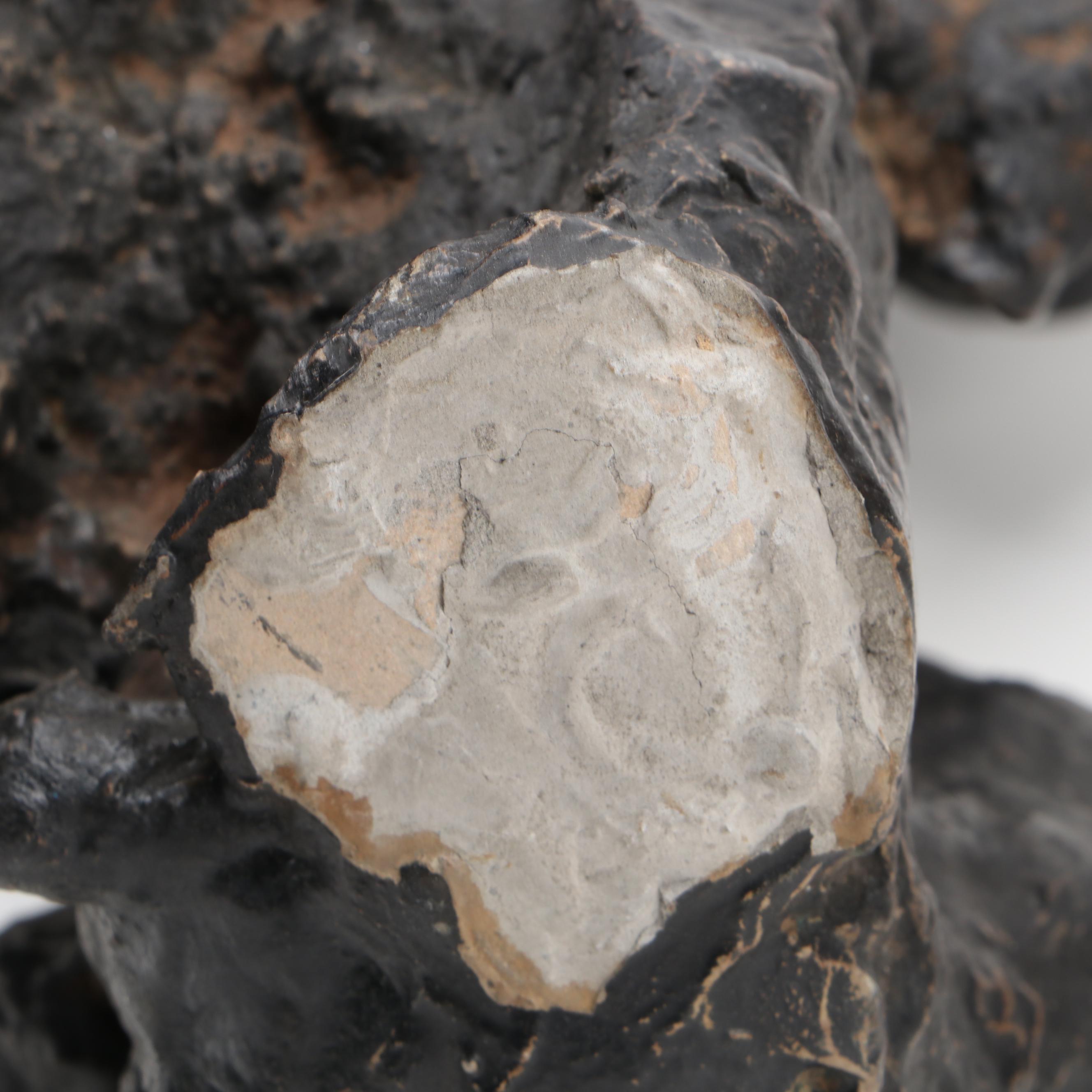 Chinese Scholar's Stone on Fitted Base, 19th Century