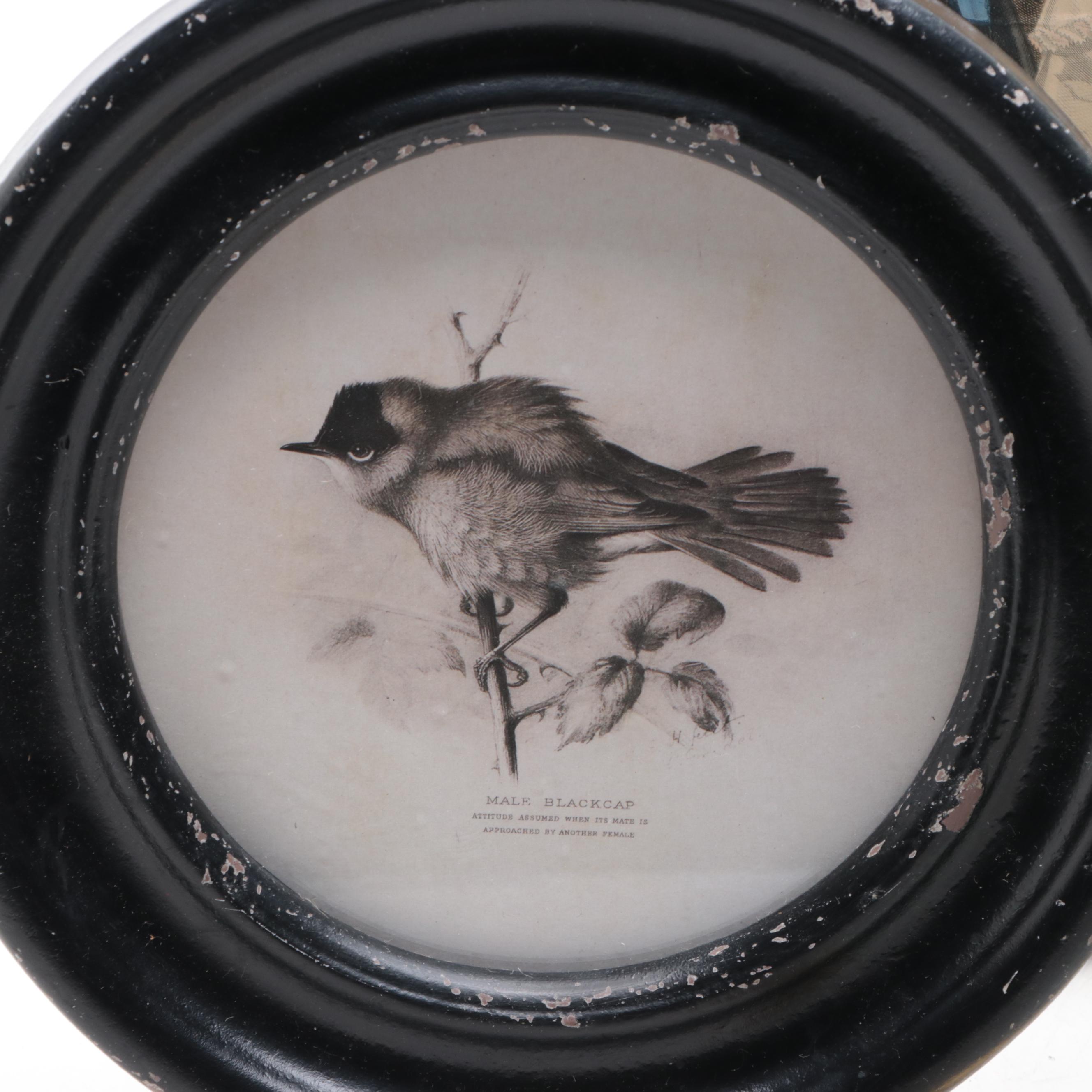 Framed Victorian Fashion Plate with Other Frames and Mirror, Mid to Late 19th C.