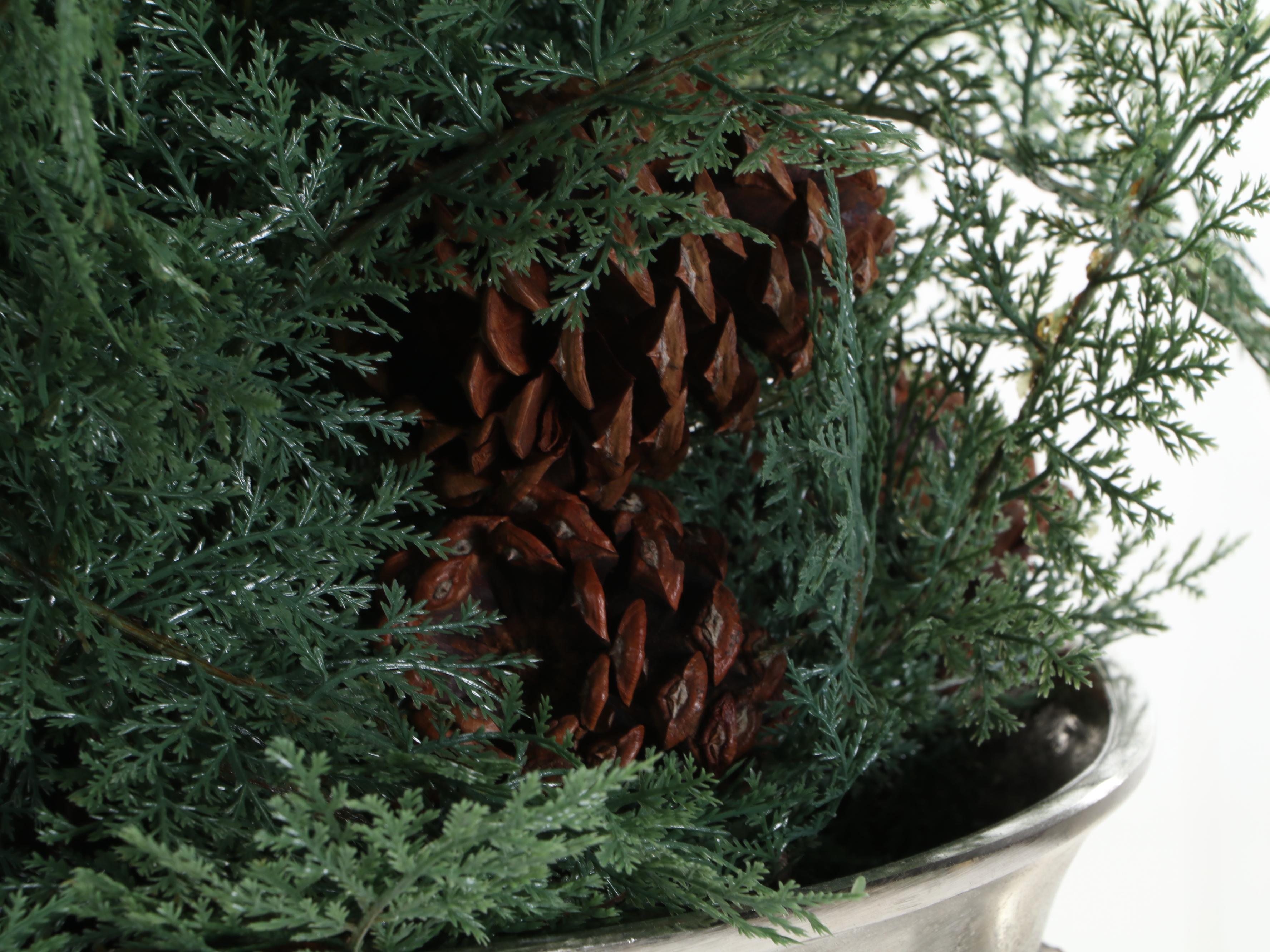 Artificial Juniper Plant in Silver Tone Metal Champagne Bucket Planter