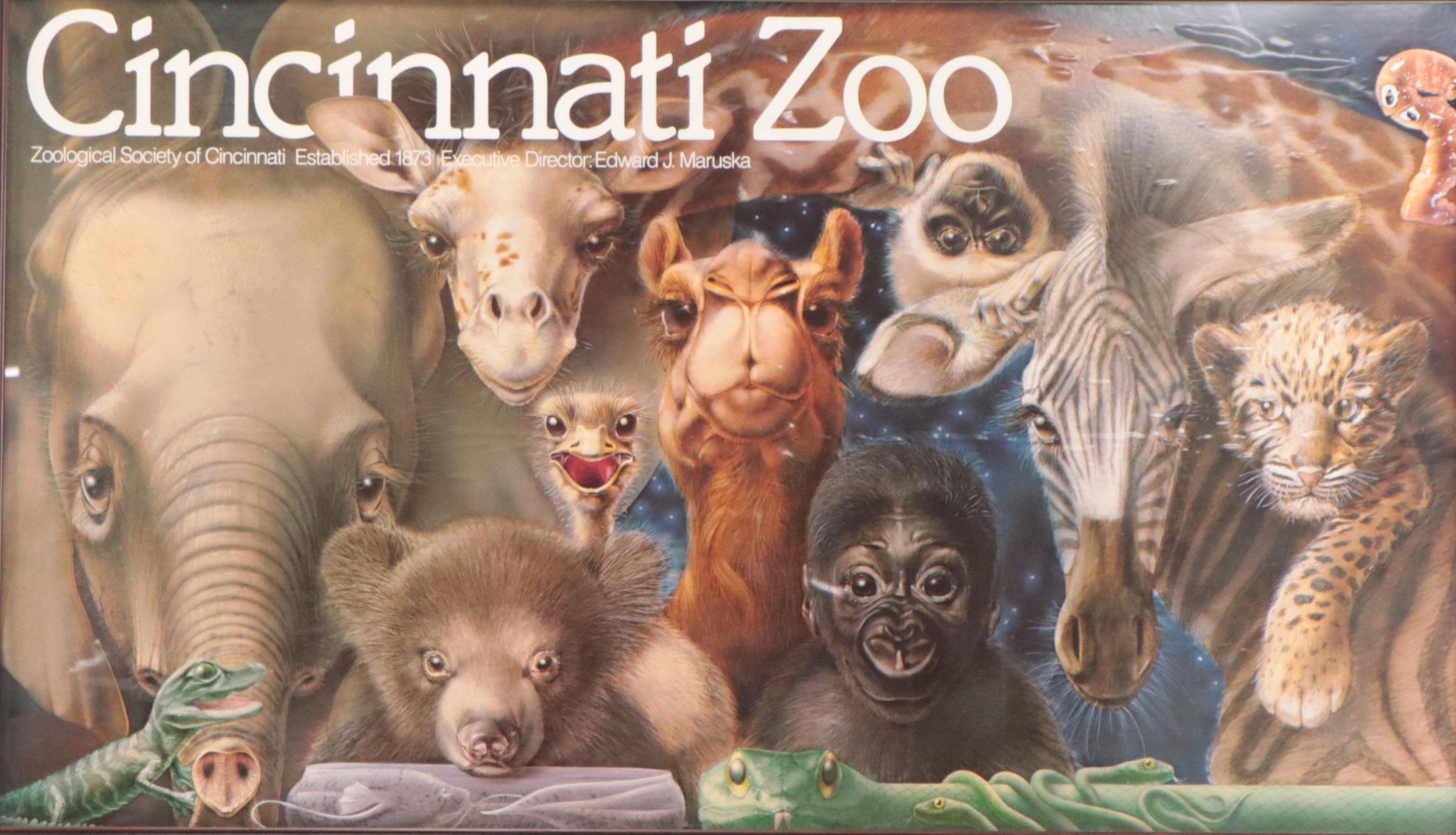 Cincinnati Zoo Offset Lithograph Poster After Lou Specker "New Ones," 1983