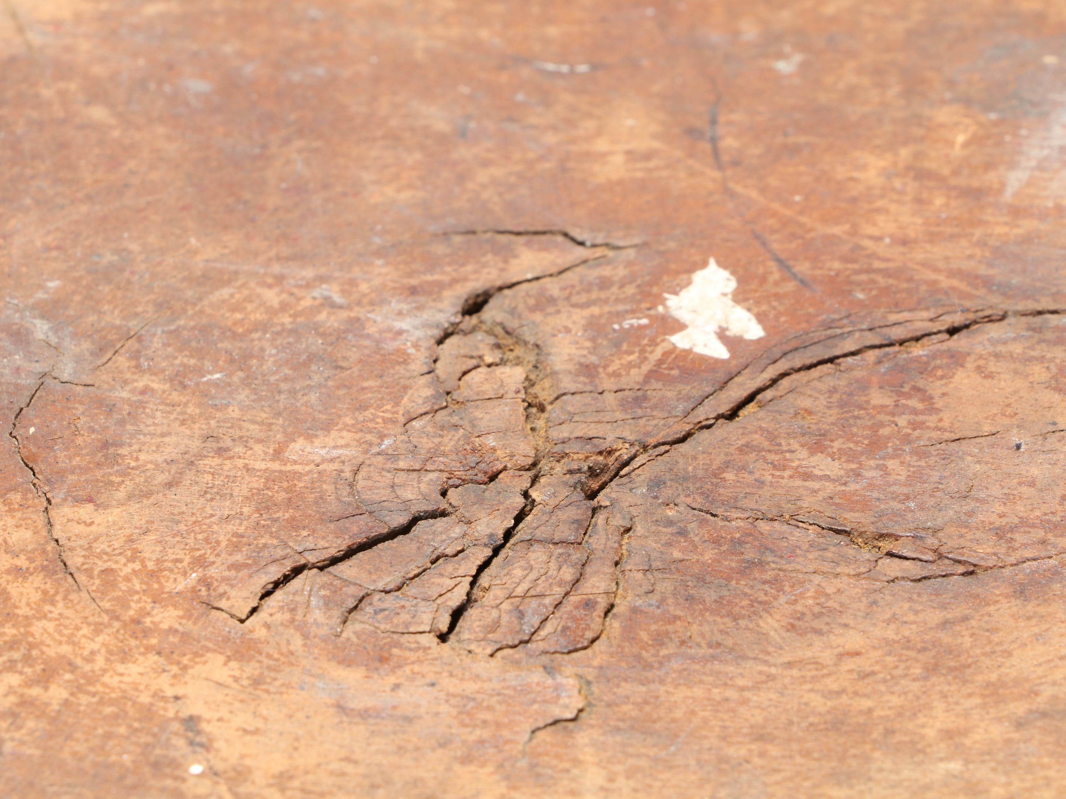 Wooden Work Bench With Metal Baskets and Wooden Box