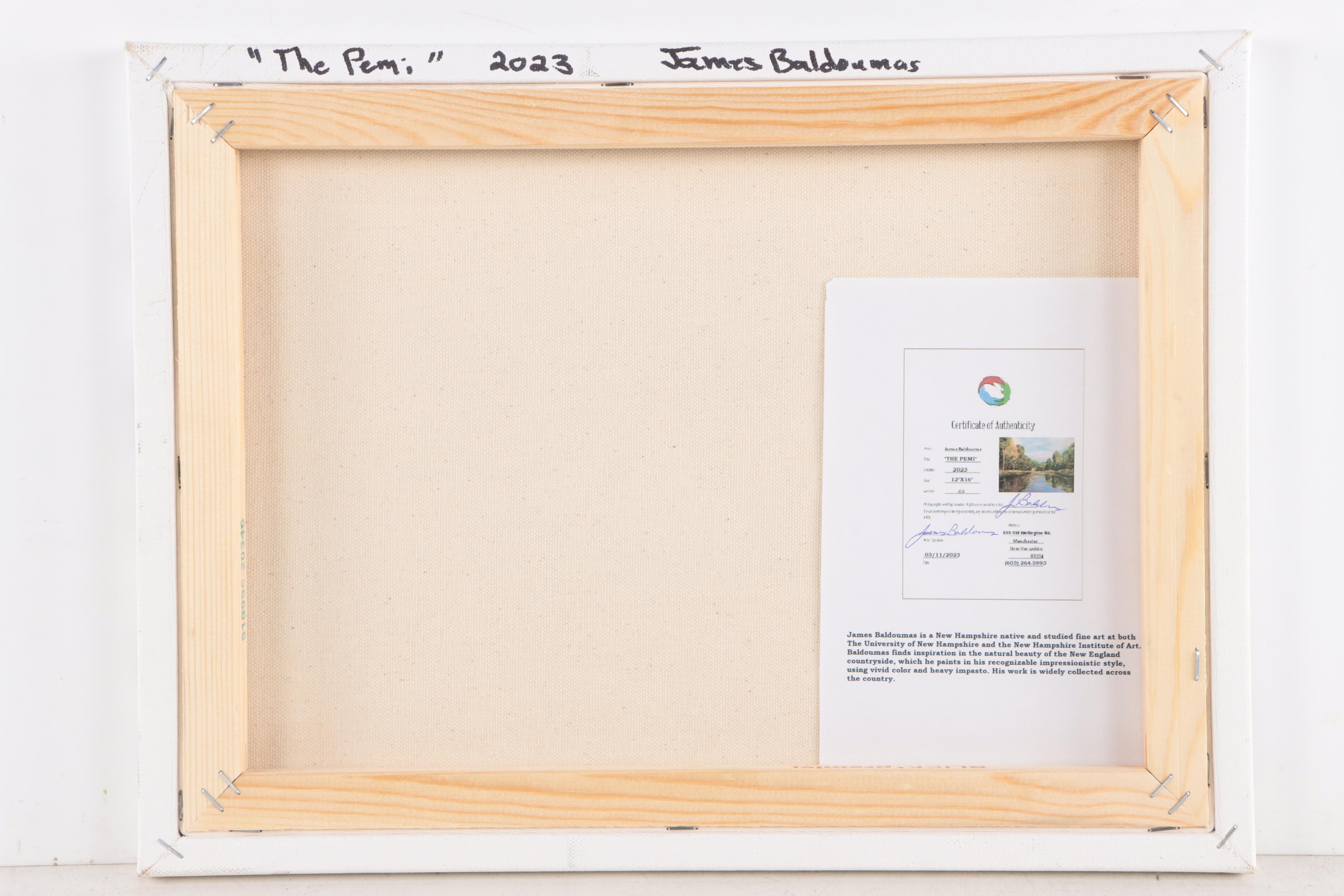 James Baldoumas Oil Painting "The Pemi," 2023