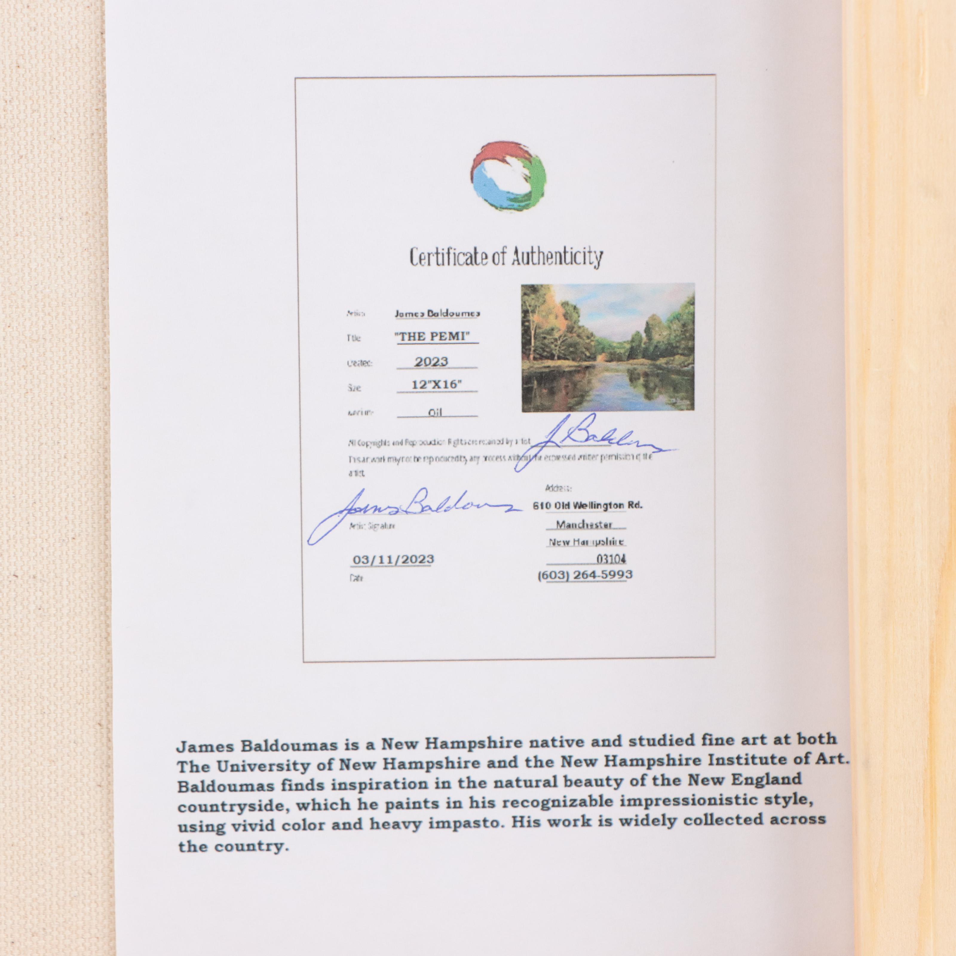 James Baldoumas Oil Painting "The Pemi," 2023