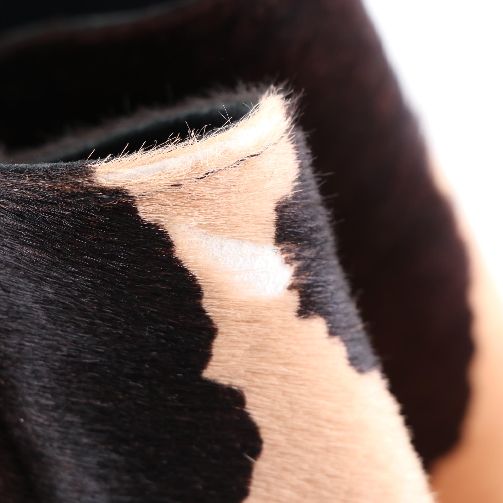 Fendi Medium 2Jours Bag in Printed Calf Hair and Leather