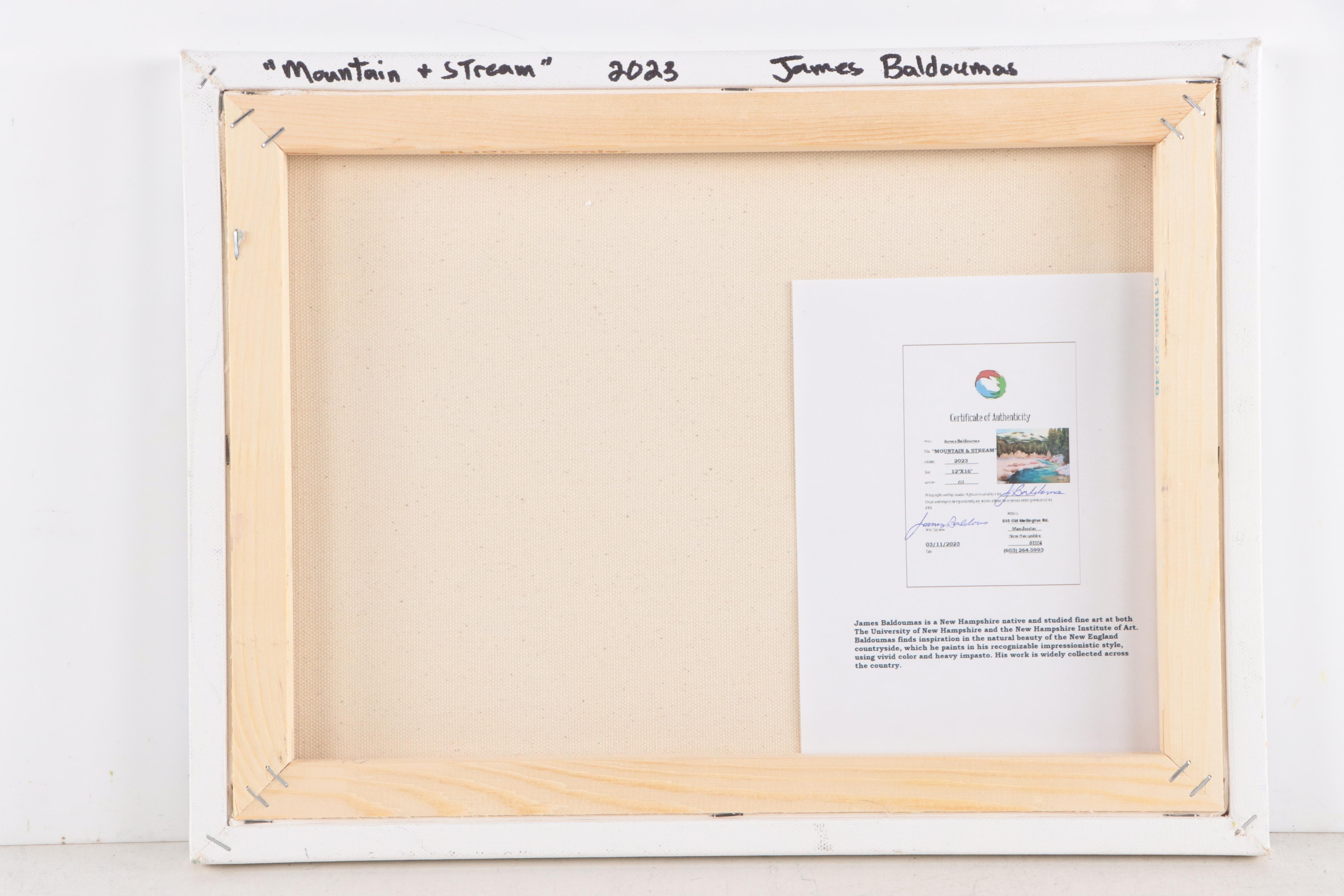 James Baldoumas Landscape Oil Painting "Mountain & Stream," 2023