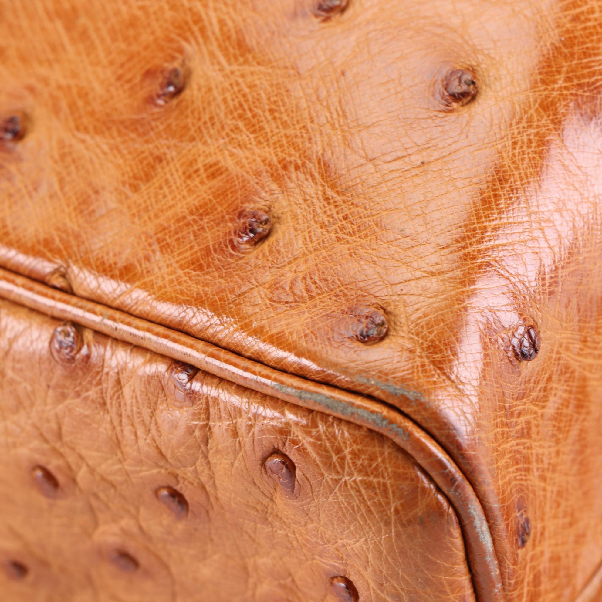 Chanel Ostrich Skin Leather Shoulder Bag with Interwoven Chain Strap