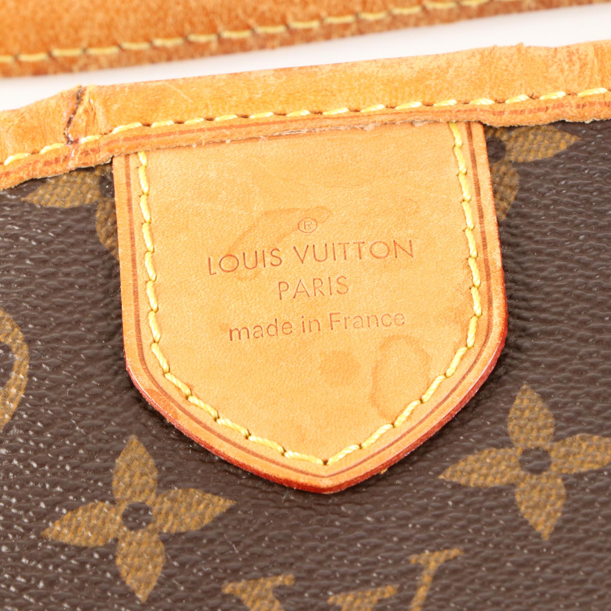 Louis Vuitton Delightful MM in Monogram Canvas and Vachetta Leather