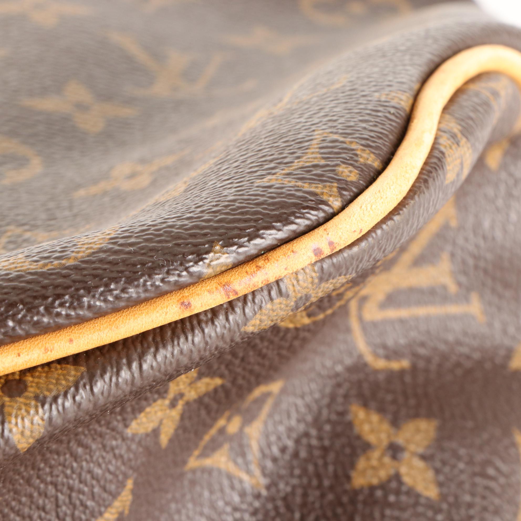 Louis Vuitton Delightful MM in Monogram Canvas and Vachetta Leather