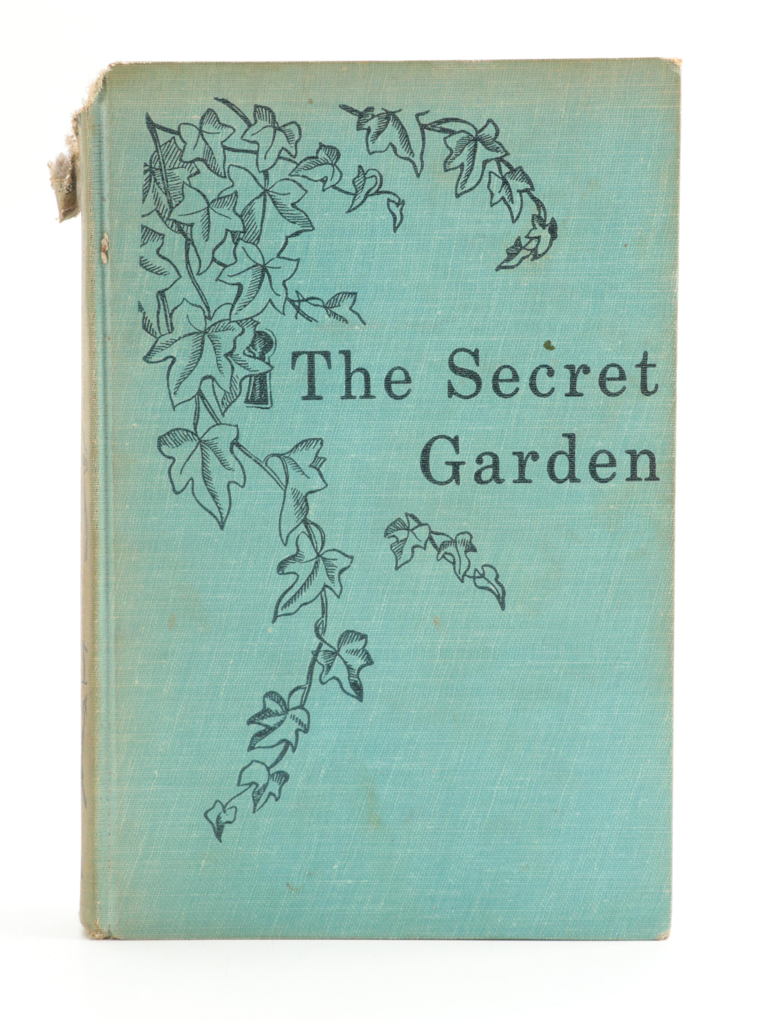 Illustrated "The Secret Garden" by Frances Hodgson Burnett and More Books