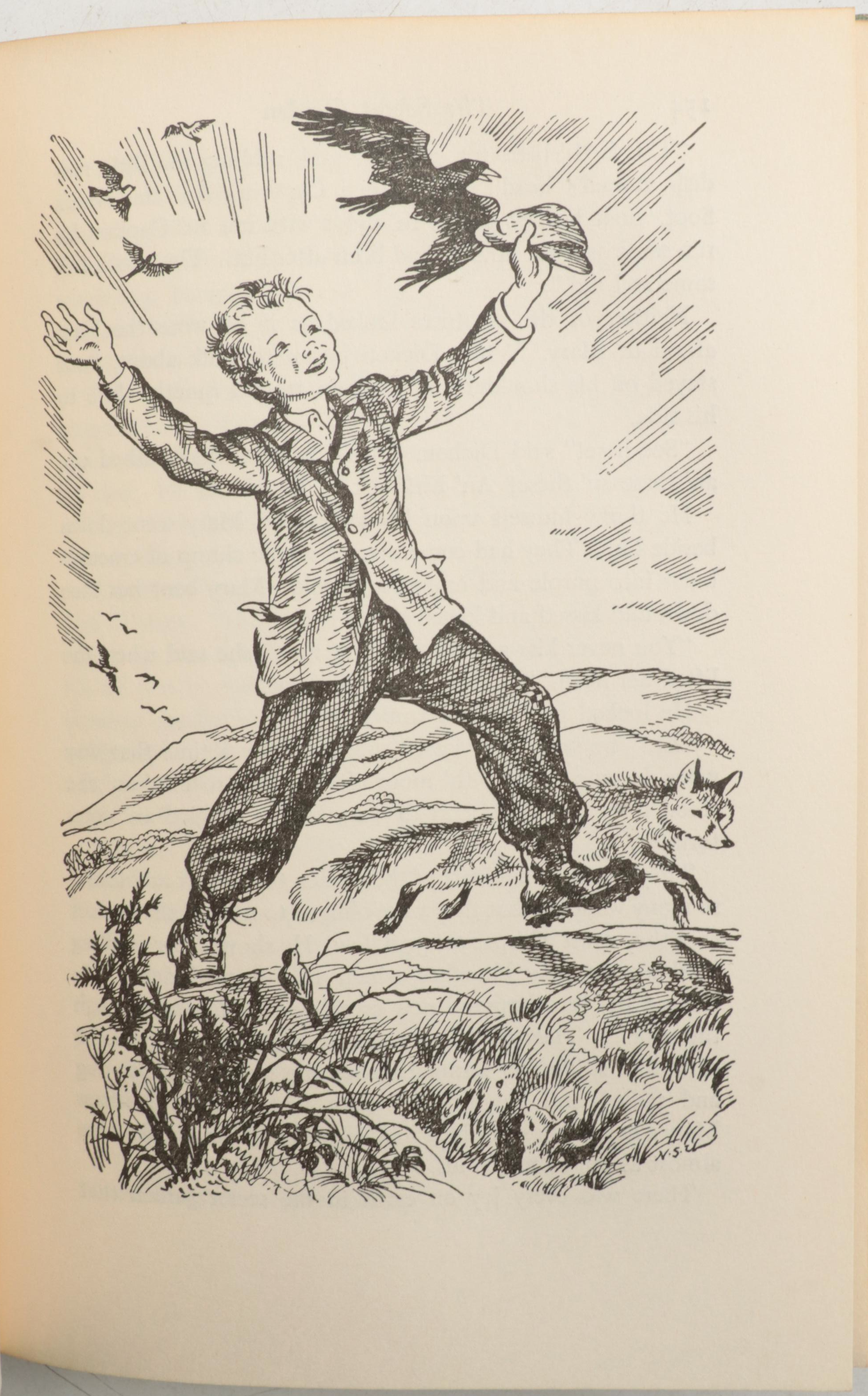 Illustrated "The Secret Garden" by Frances Hodgson Burnett and More Books