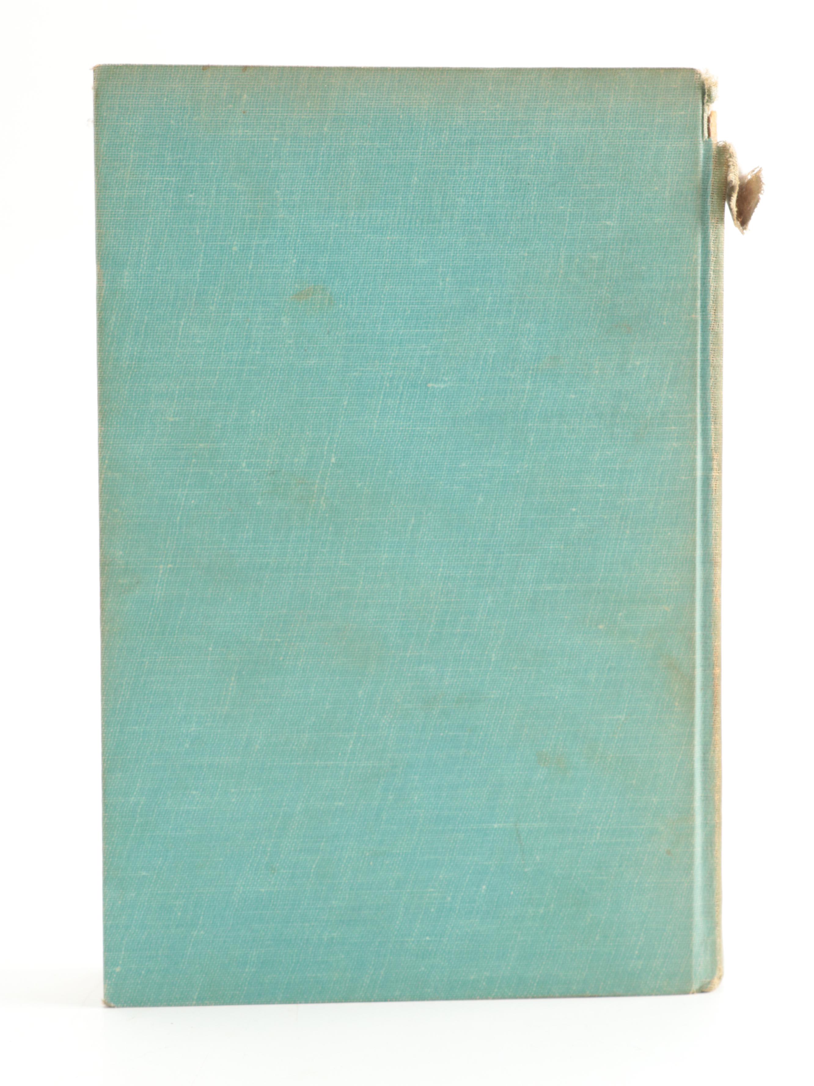 Illustrated "The Secret Garden" by Frances Hodgson Burnett and More Books