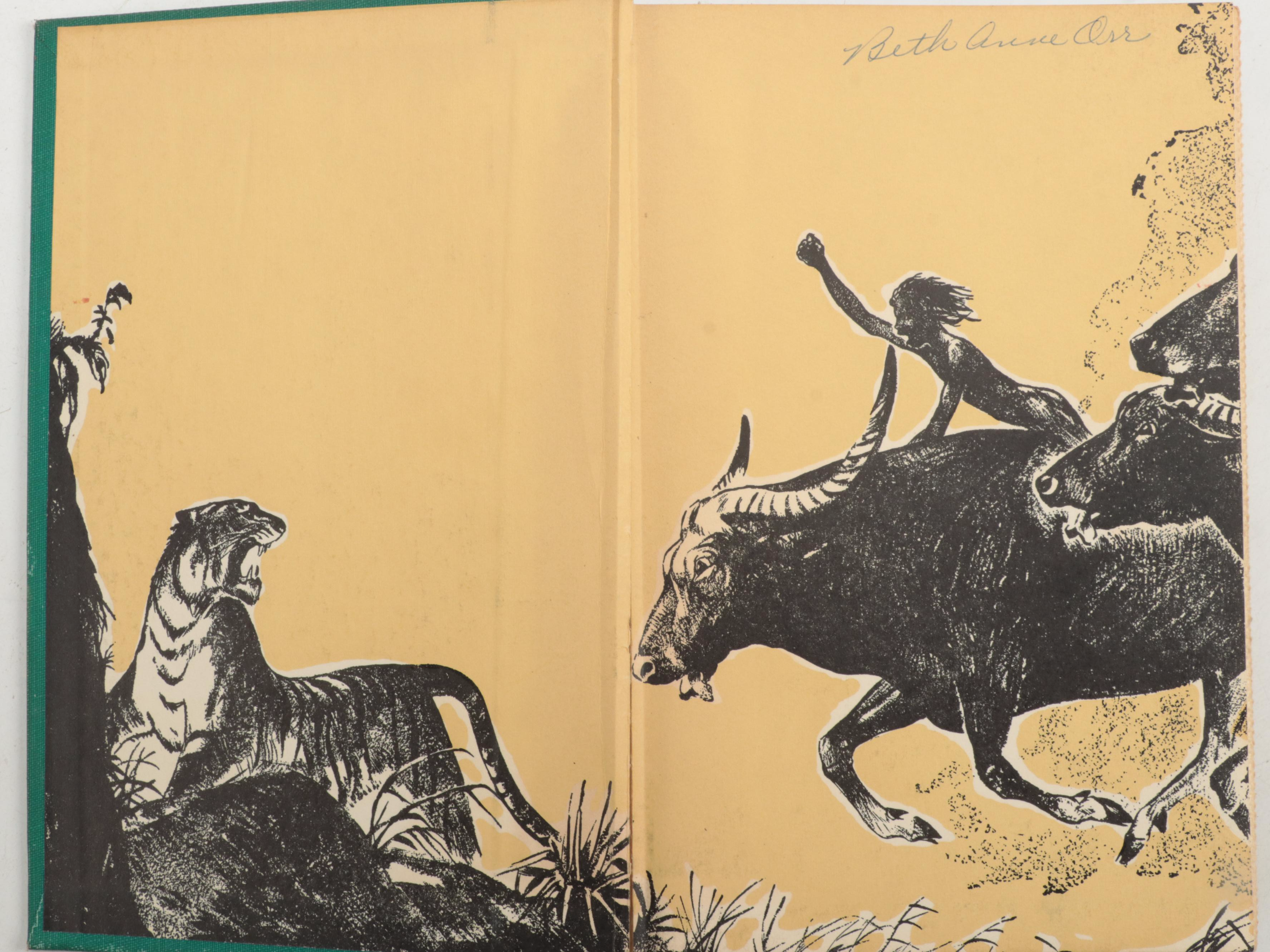 Illustrated "The Secret Garden" by Frances Hodgson Burnett and More Books